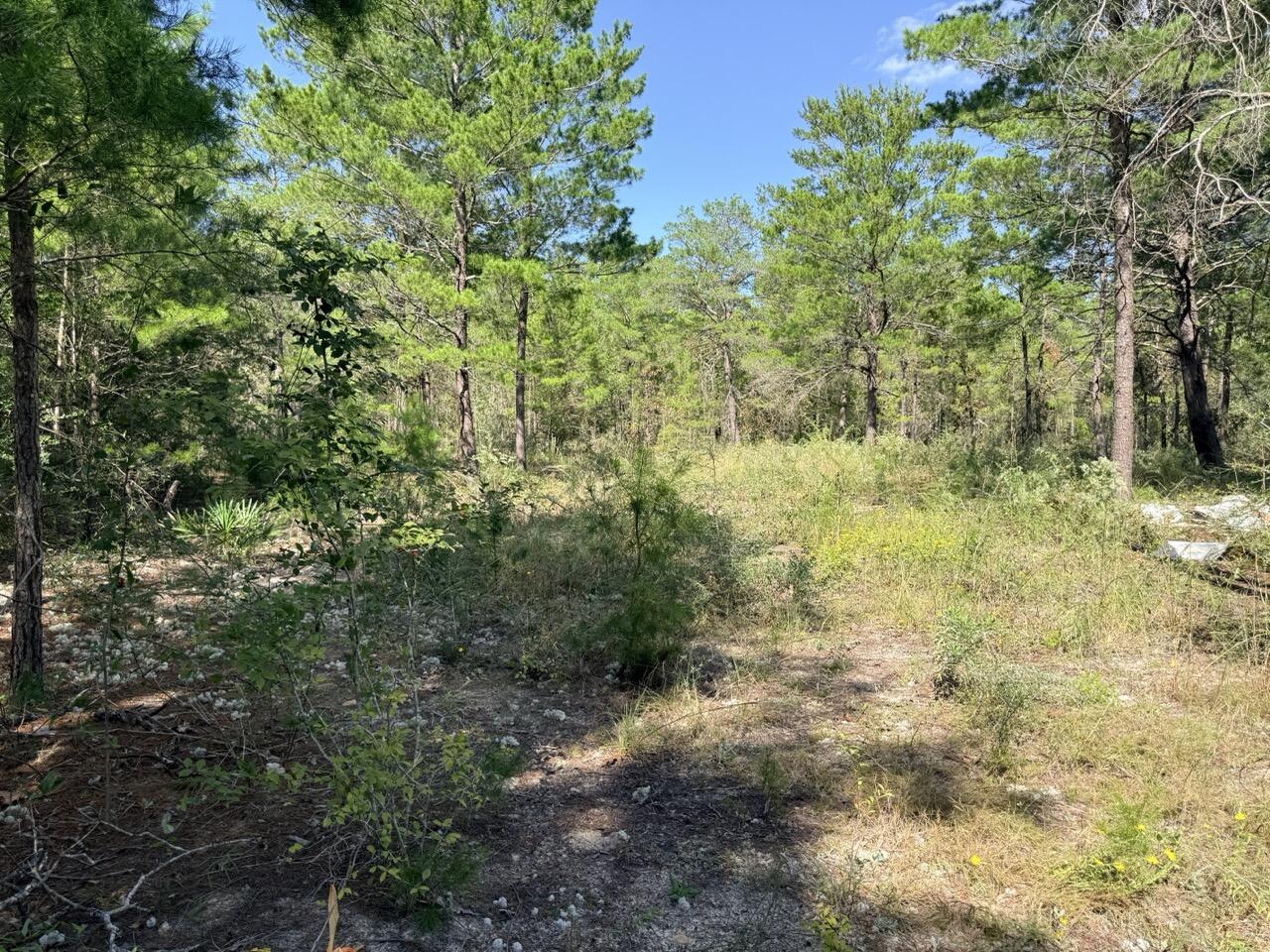 870 Watson Road M Defuniak Springs FL 32433