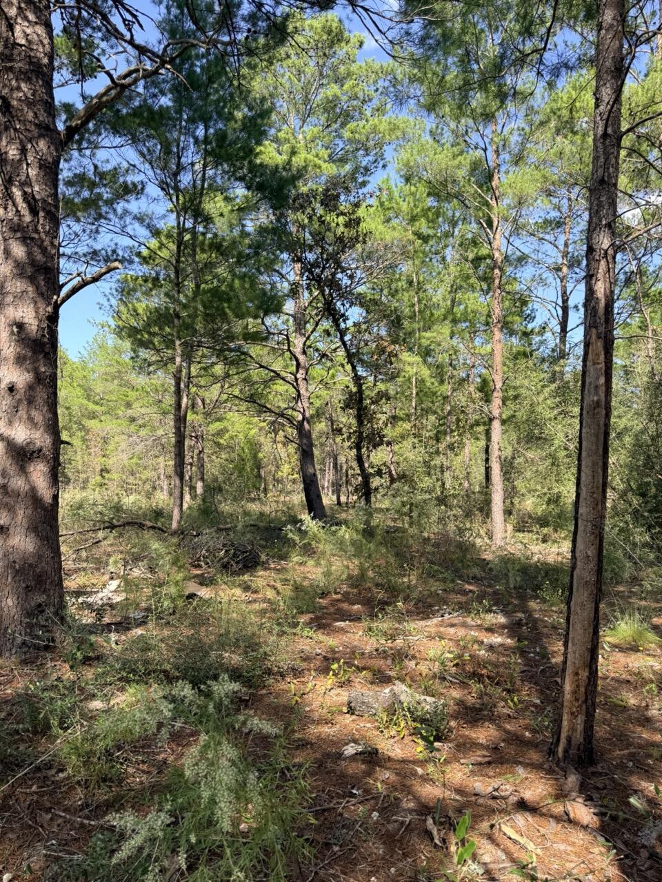 870 Watson Road M Defuniak Springs FL 32433