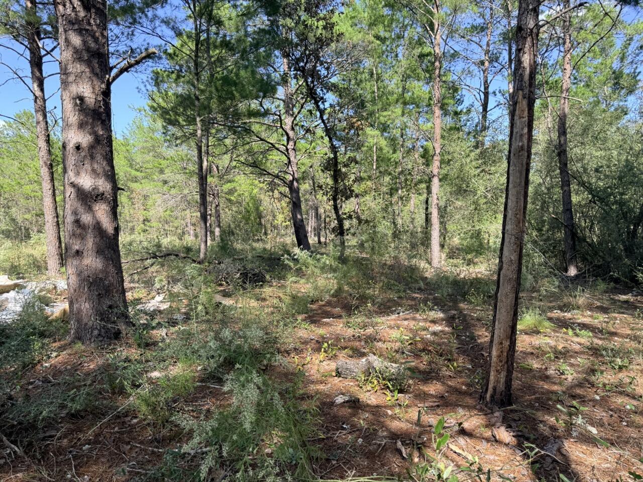 870 Watson Road M Defuniak Springs FL 32433