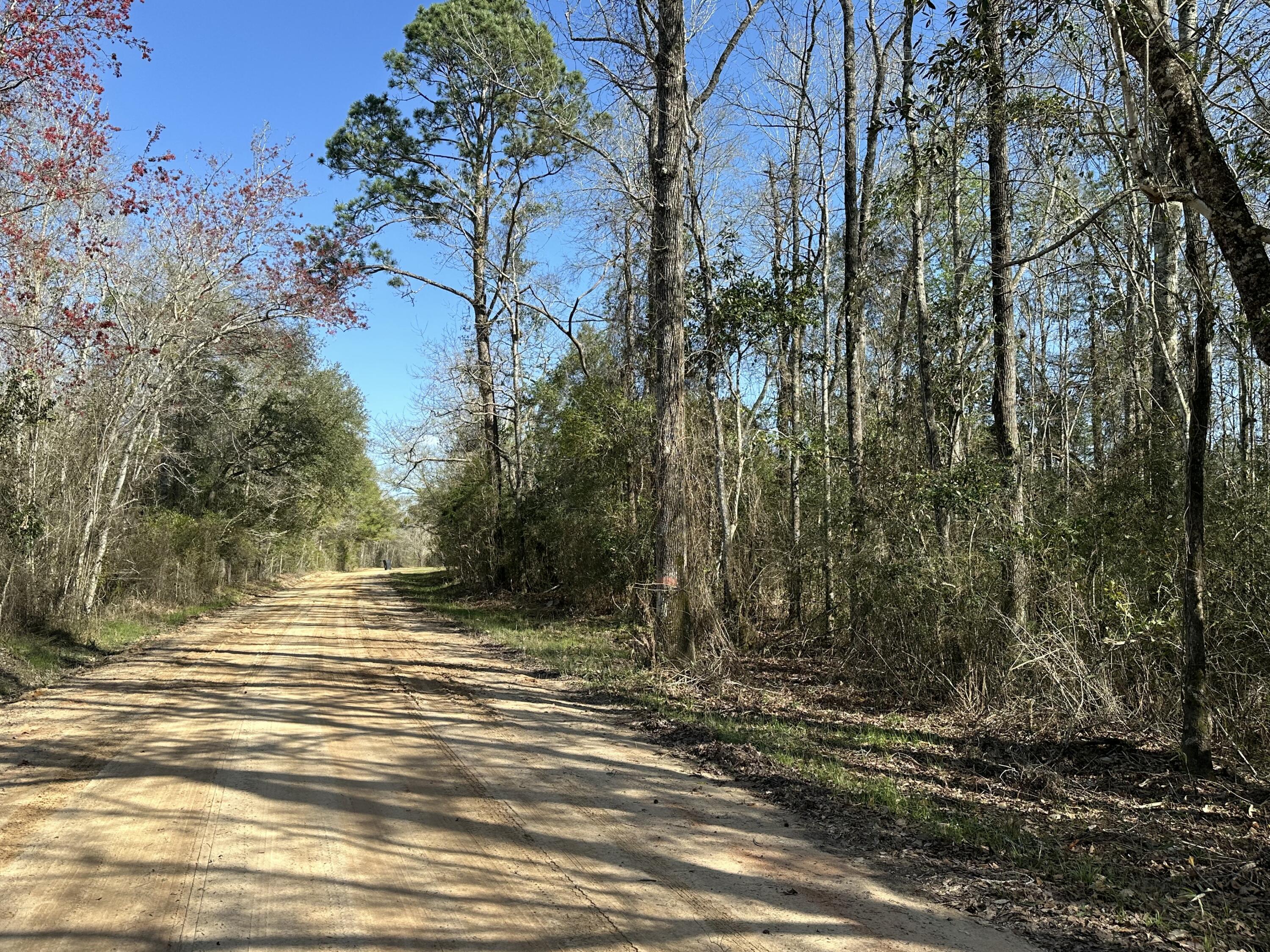 TRACT#6317 S Harris Stevenson Road Bonifay FL 32425