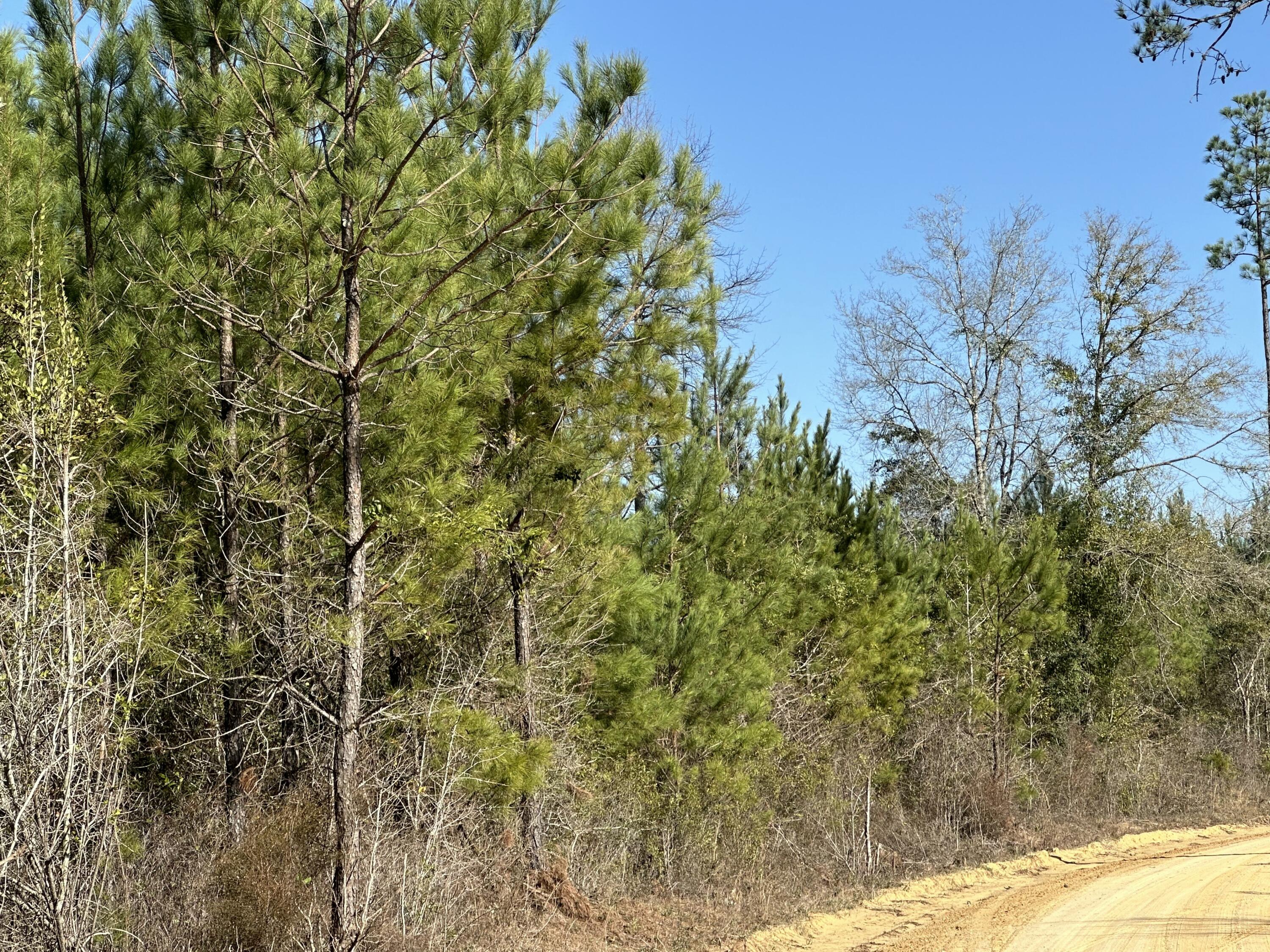 TRACT#6317 S Harris Stevenson Road Bonifay FL 32425