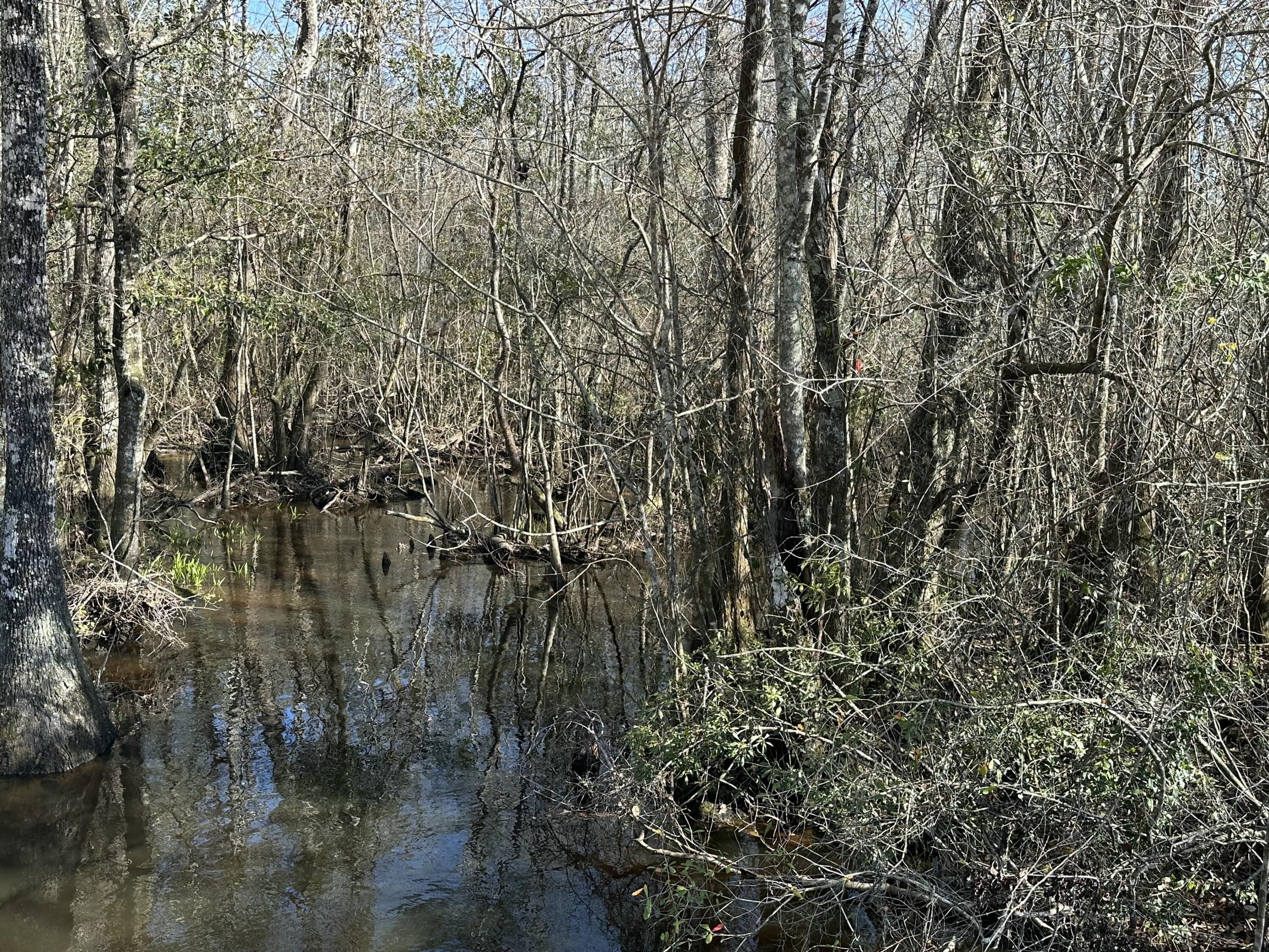 TRACT#6317 S Harris Stevenson Road Bonifay FL 32425