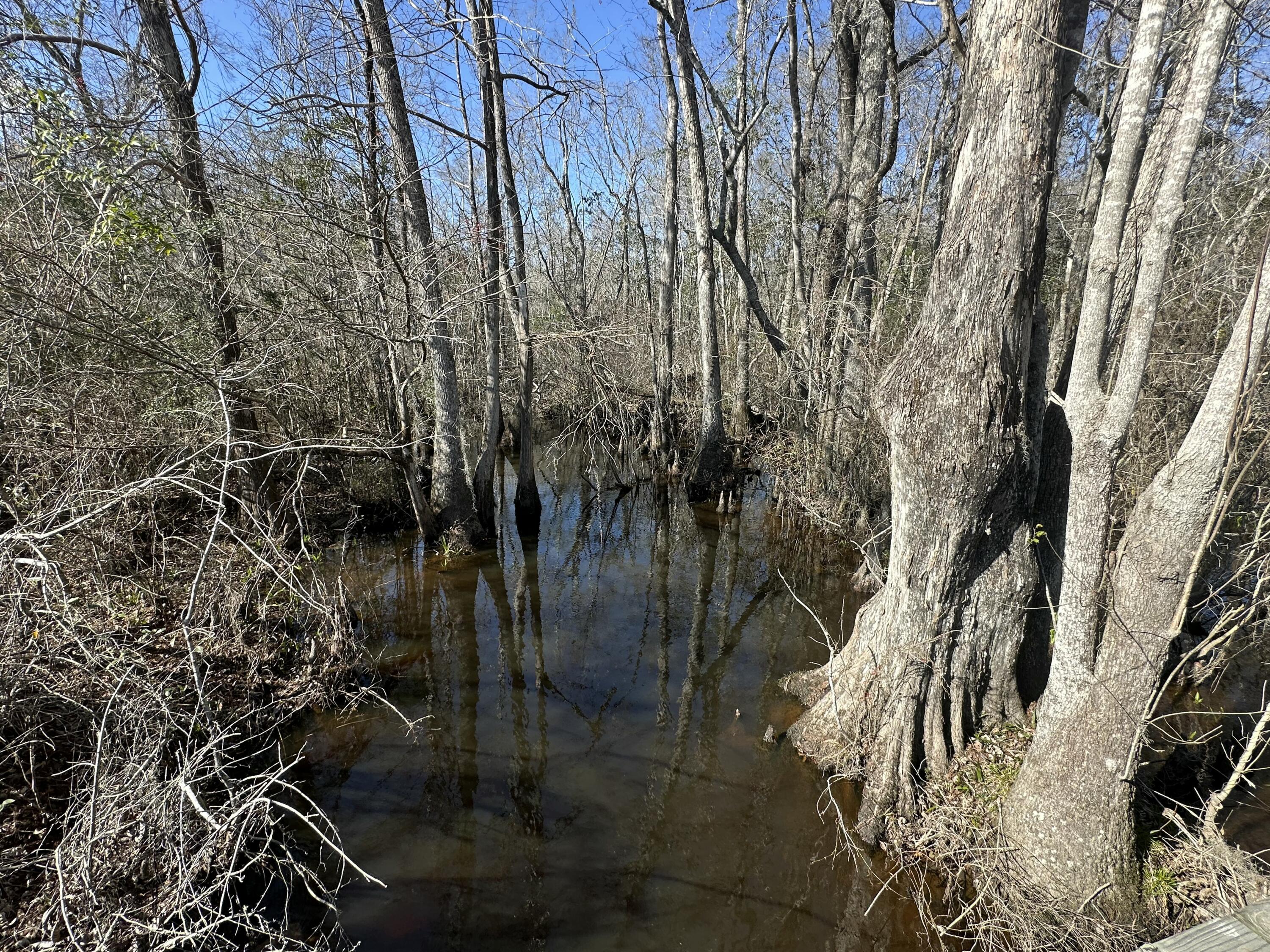 TRACT#6317 S Harris Stevenson Road Bonifay FL 32425