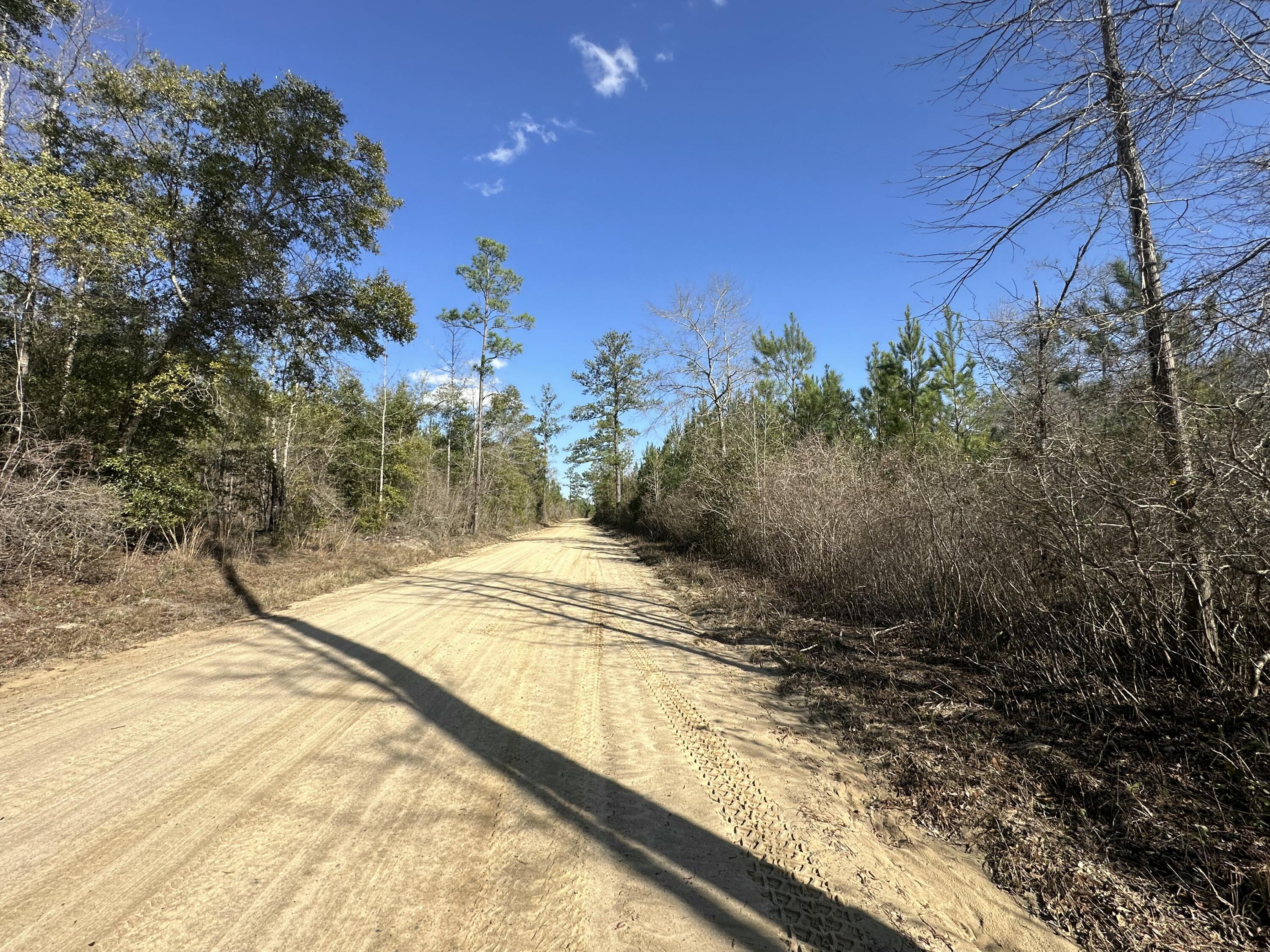 TRACT#6317 S Harris Stevenson Road Bonifay FL 32425