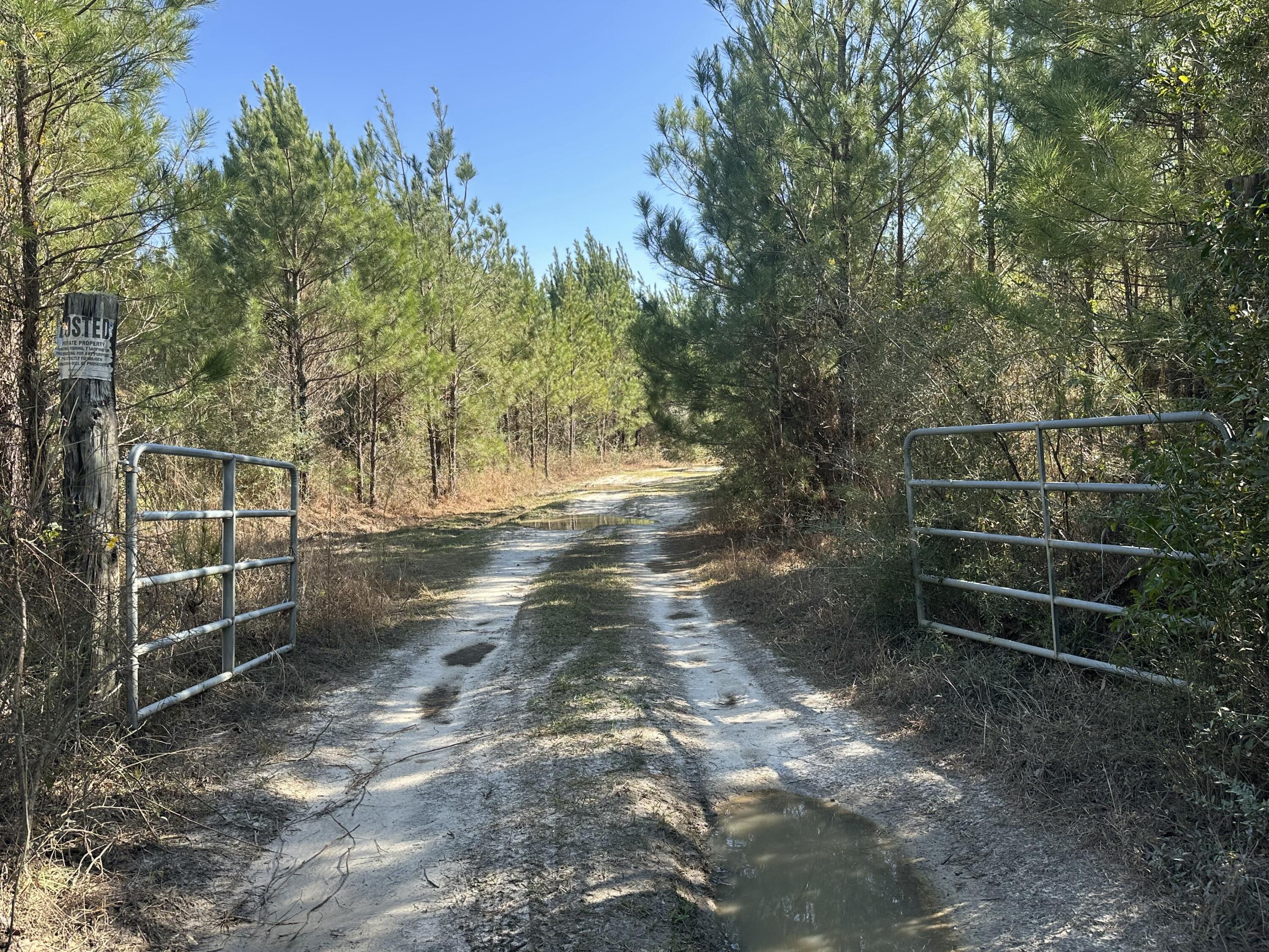TRACT#6317 S Harris Stevenson Road Bonifay FL 32425