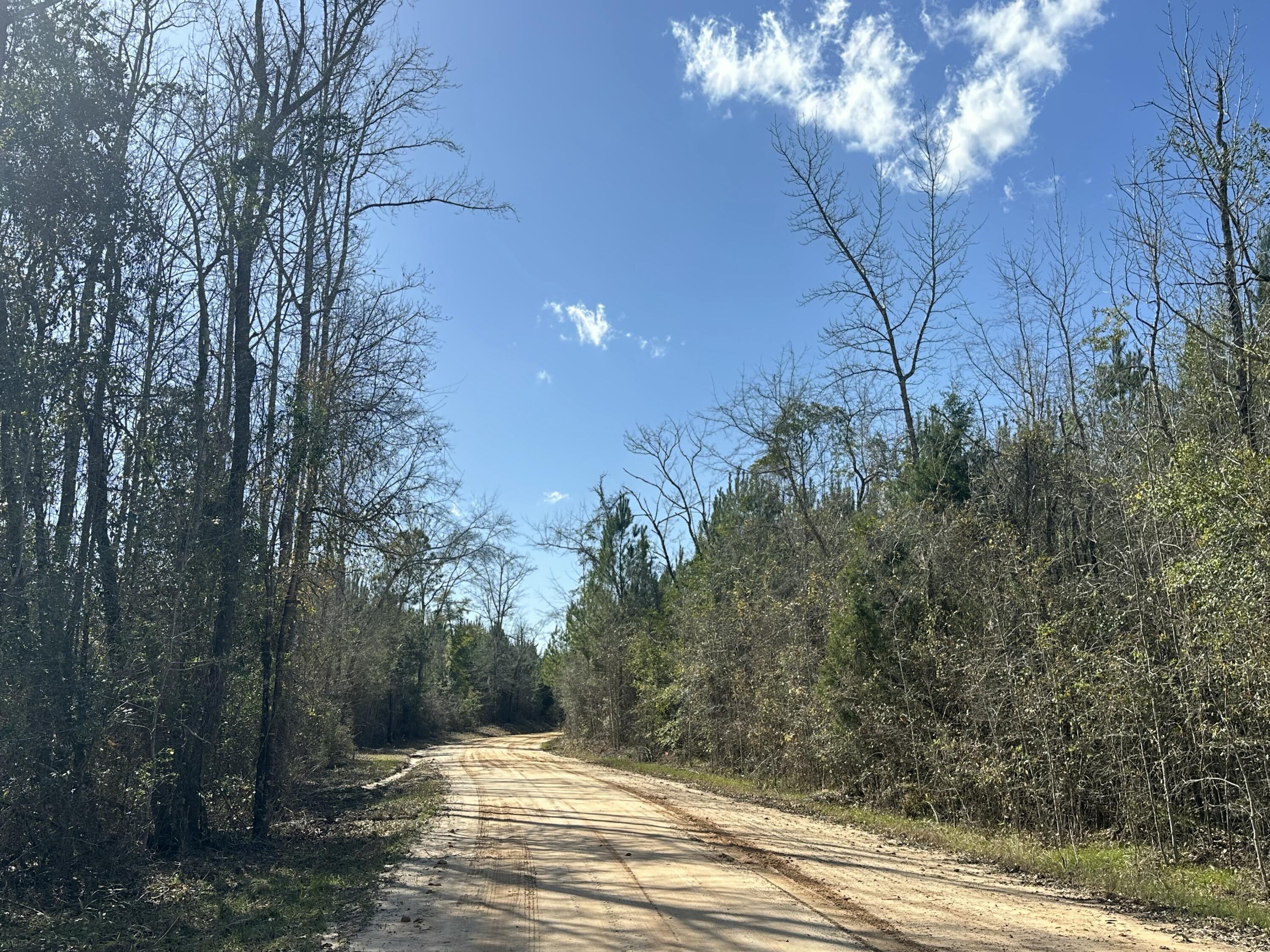TRACT#6317 S Harris Stevenson Road Bonifay FL 32425