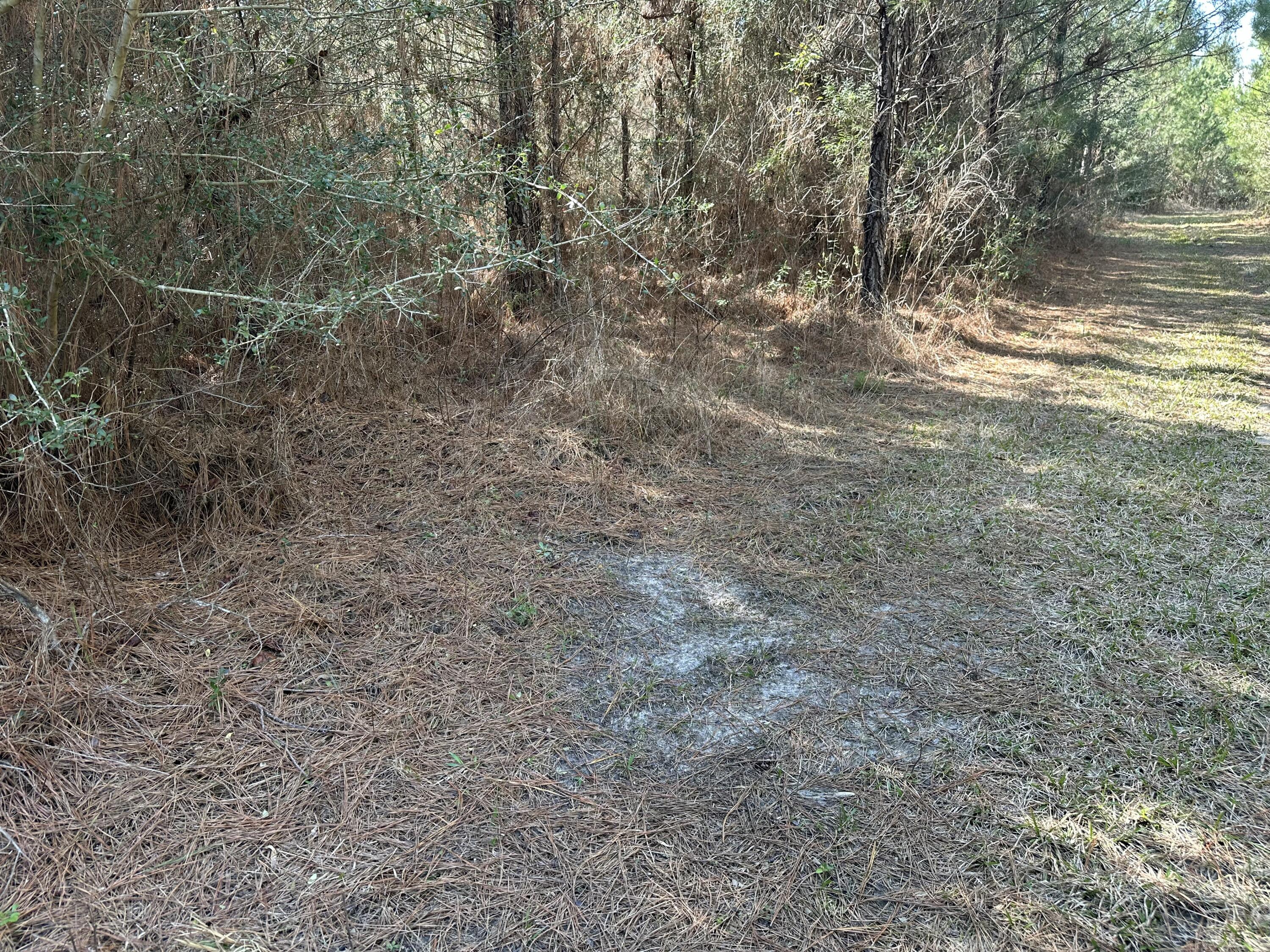 TRACT#6317 S Harris Stevenson Road Bonifay FL 32425