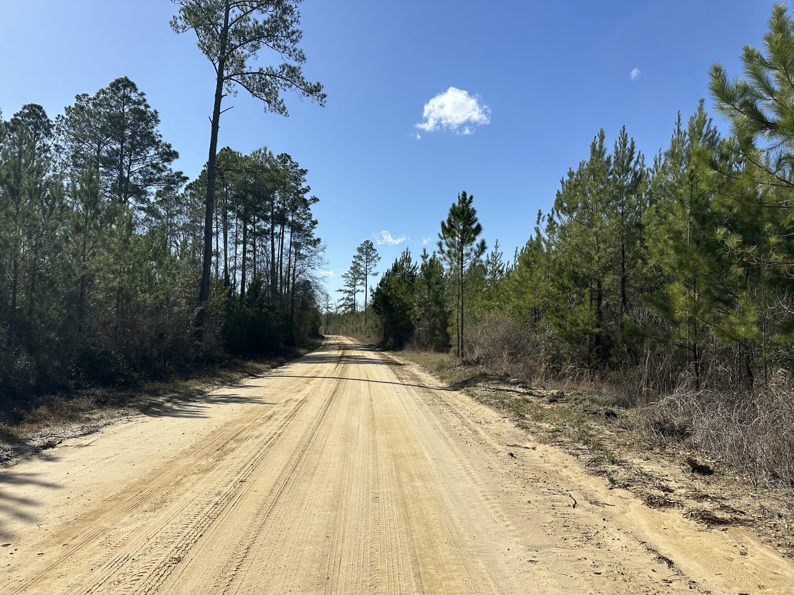 TRACT#6317 S Harris Stevenson Road Bonifay FL 32425