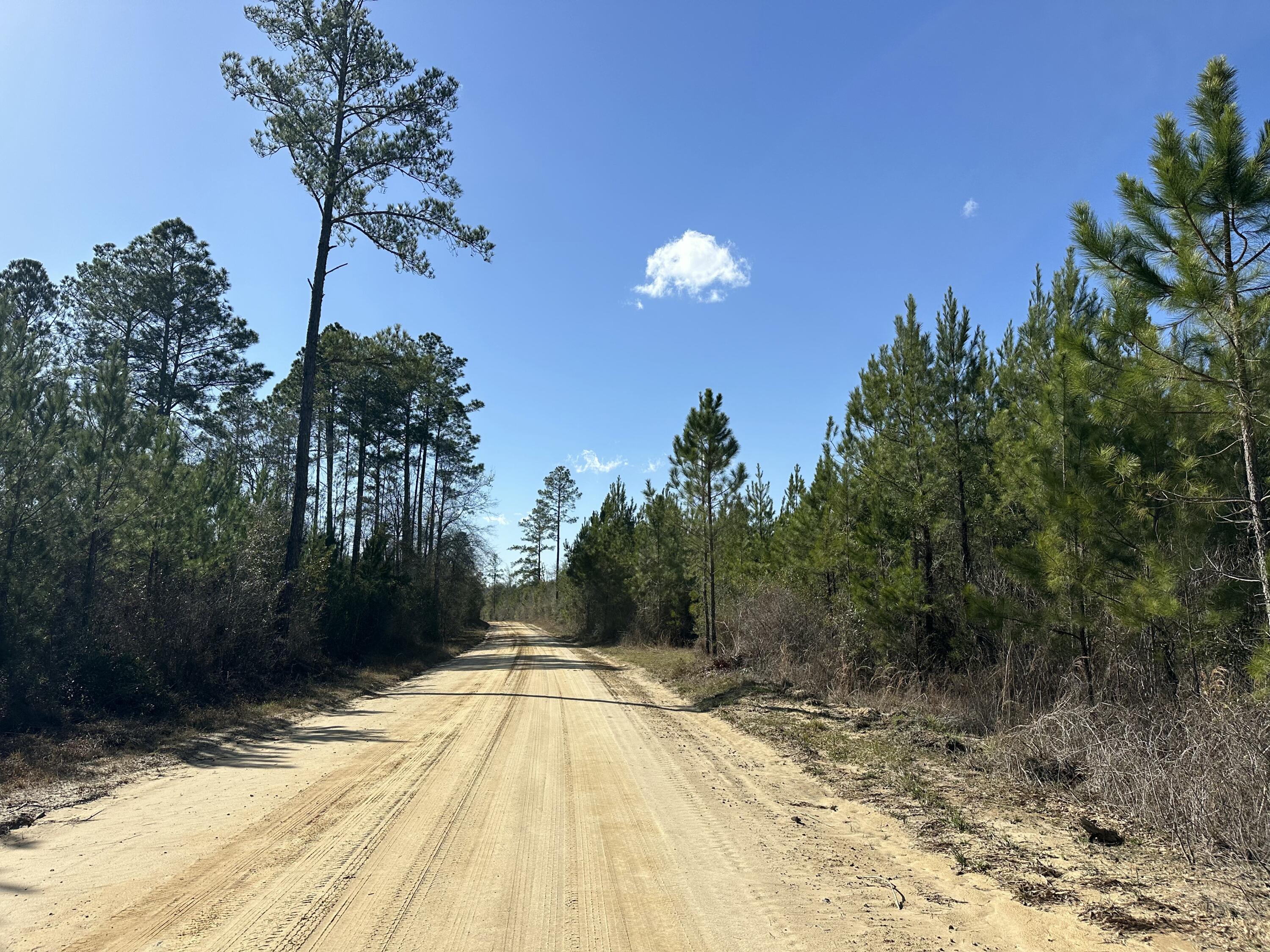 TRACT#6317 S Harris Stevenson Road Bonifay FL 32425