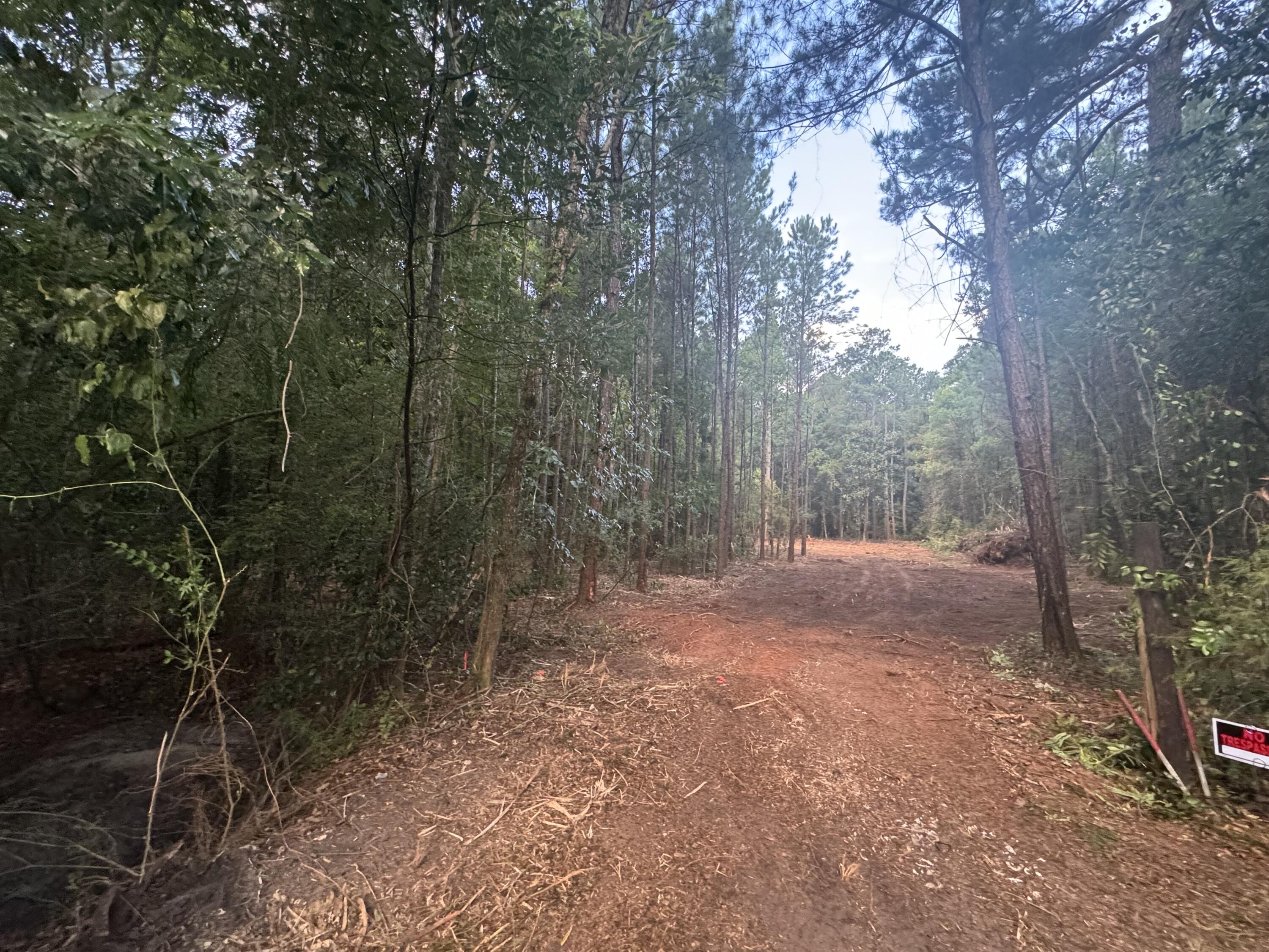 6 Acres Hill Street Defuniak Springs FL 32435