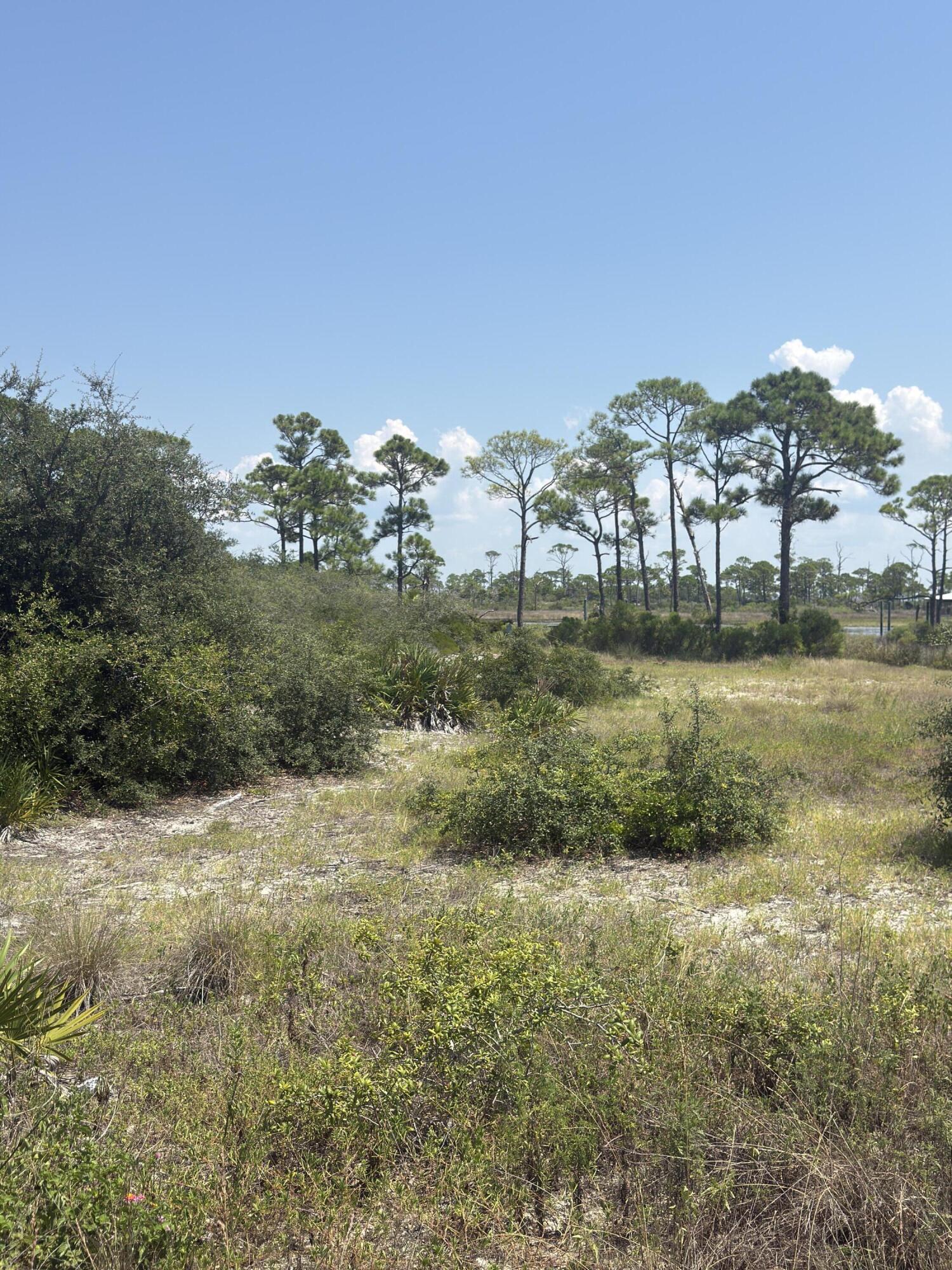 4746 Cape San Blas Road Cape San Blas FL 32456