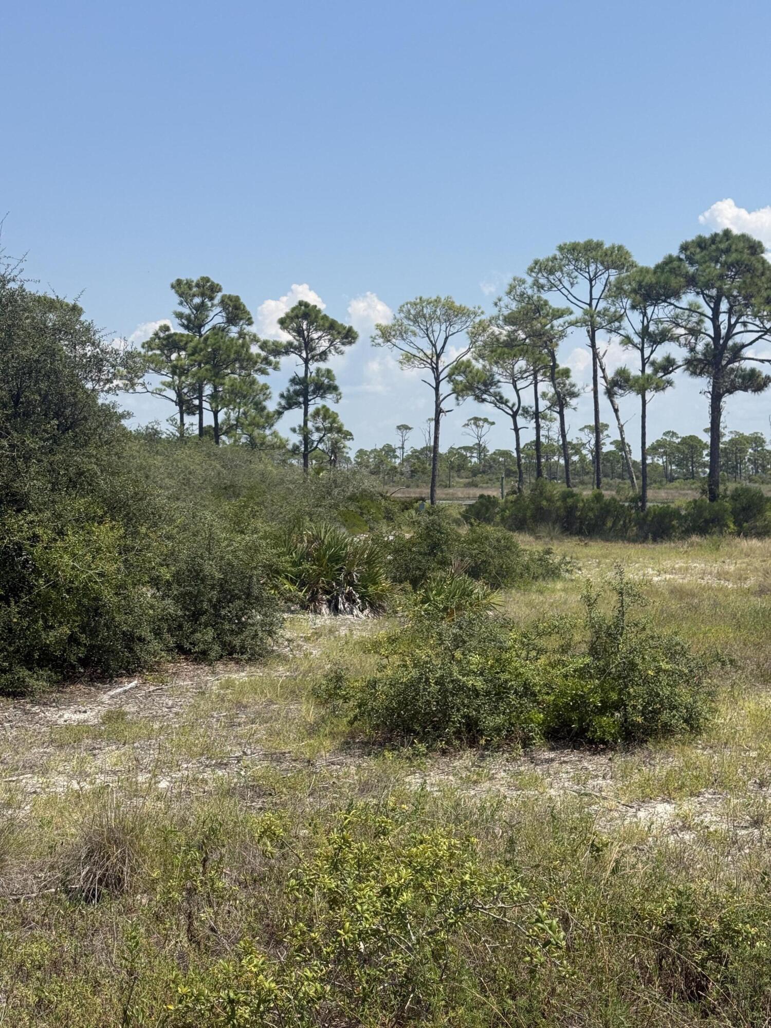 4746 Cape San Blas Road Cape San Blas FL 32456