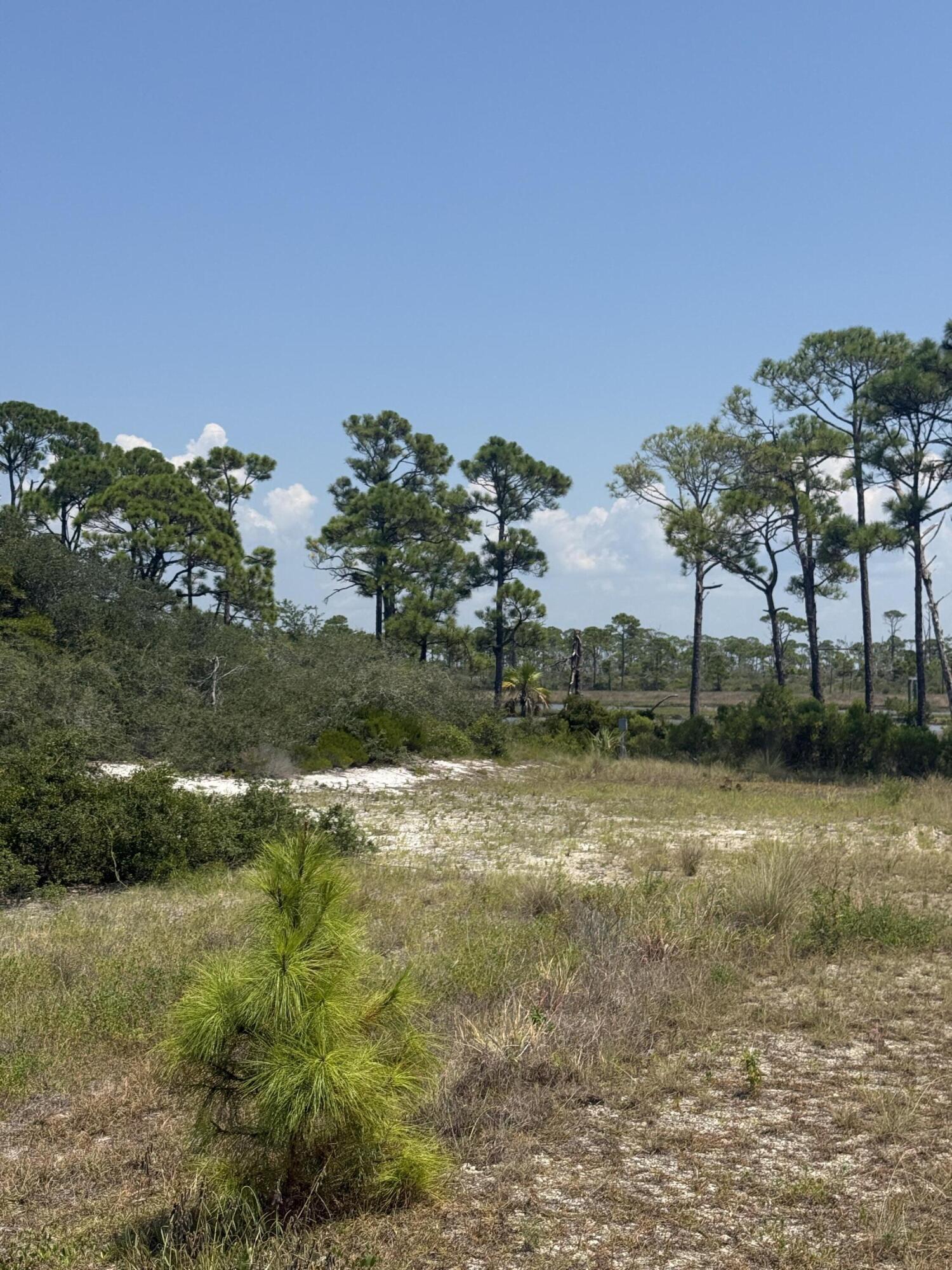 4746 Cape San Blas Road Cape San Blas FL 32456
