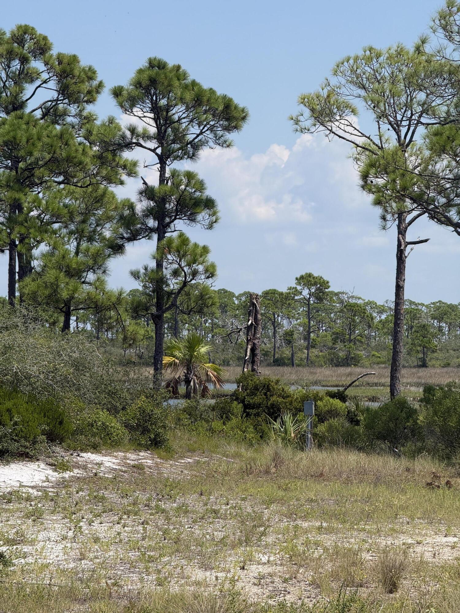 4746 Cape San Blas Road Cape San Blas FL 32456