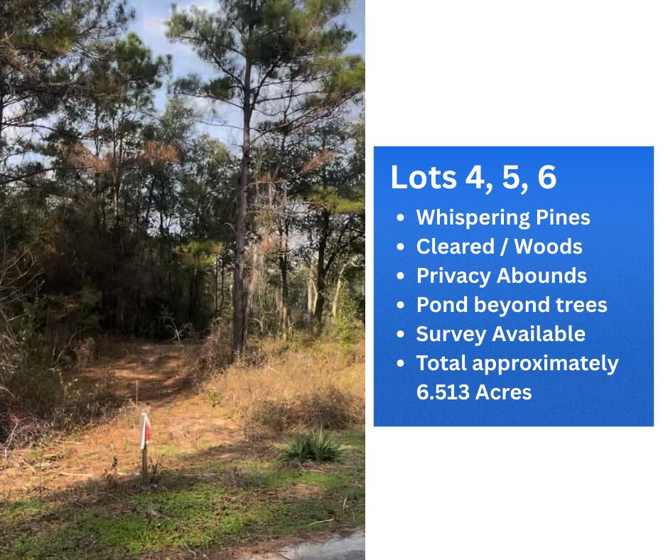 Lot 4,5,6 Angelena Court Chipley FL 32428