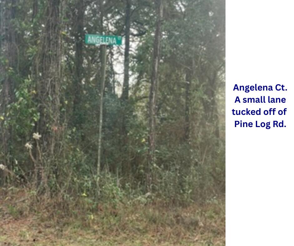 Lot 4,5,6 Angelena Court Chipley FL 32428