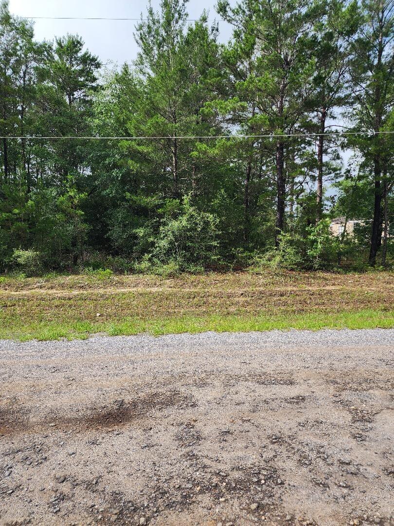 00 E Primrose Avenue Defuniak Springs FL 32433