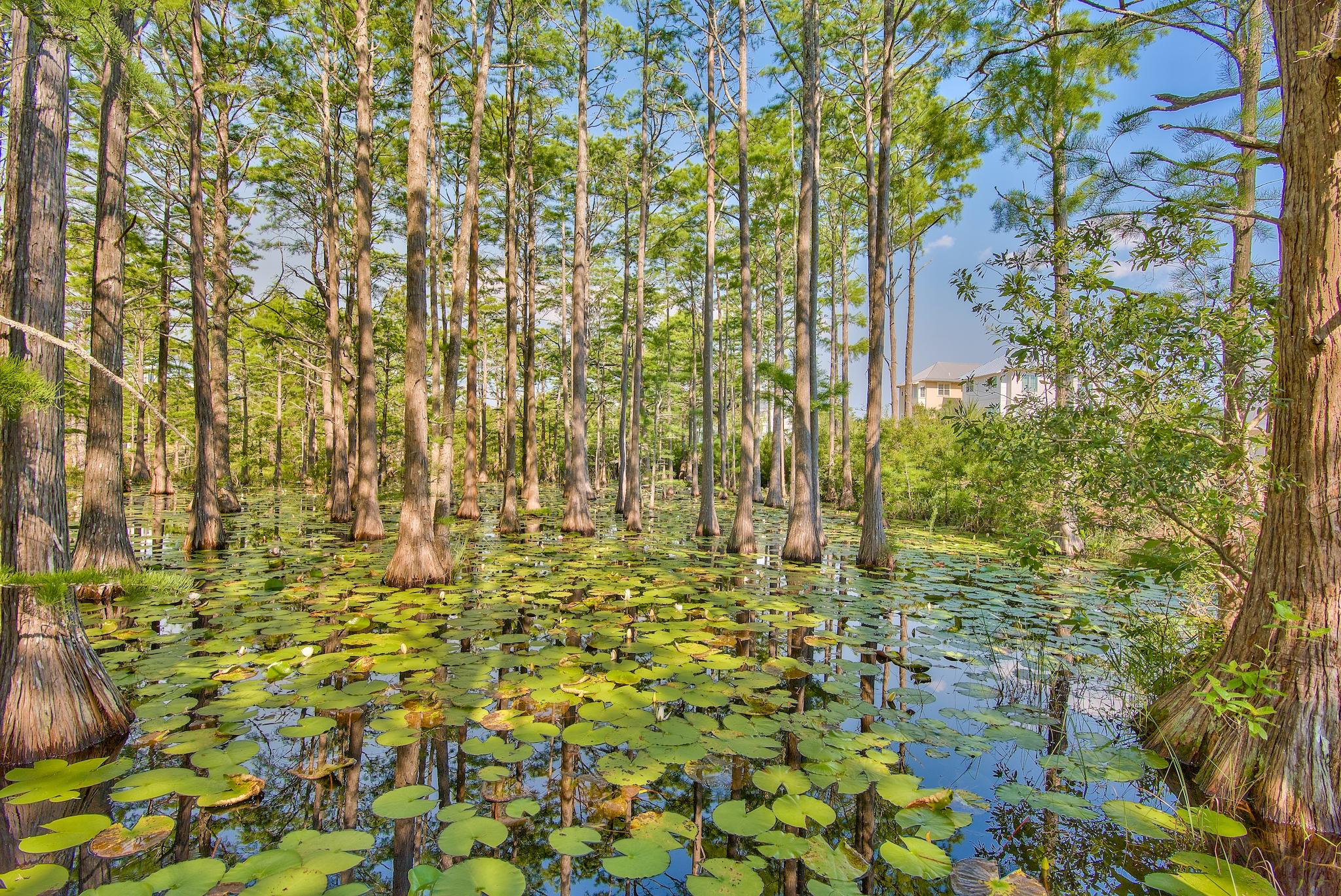 Lot 102-40 Cypress Walk Santa Rosa Beach FL 32459