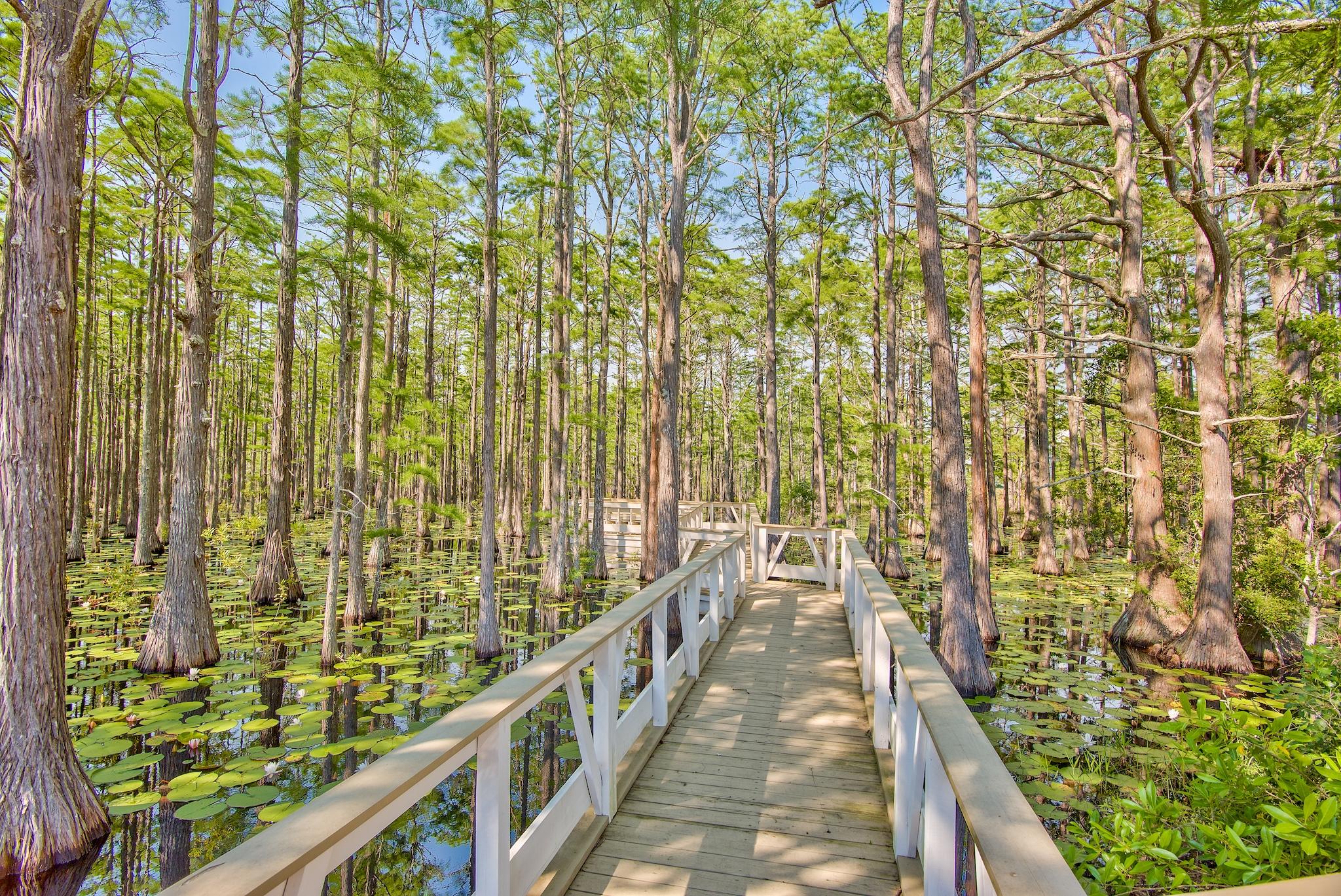 Lot 102-40 Cypress Walk Santa Rosa Beach FL 32459