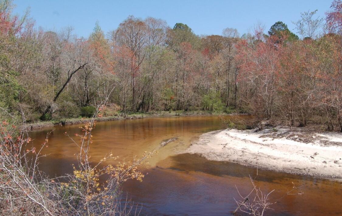 Lots 23&24 Plantation Lane Defuniak Springs FL 32433