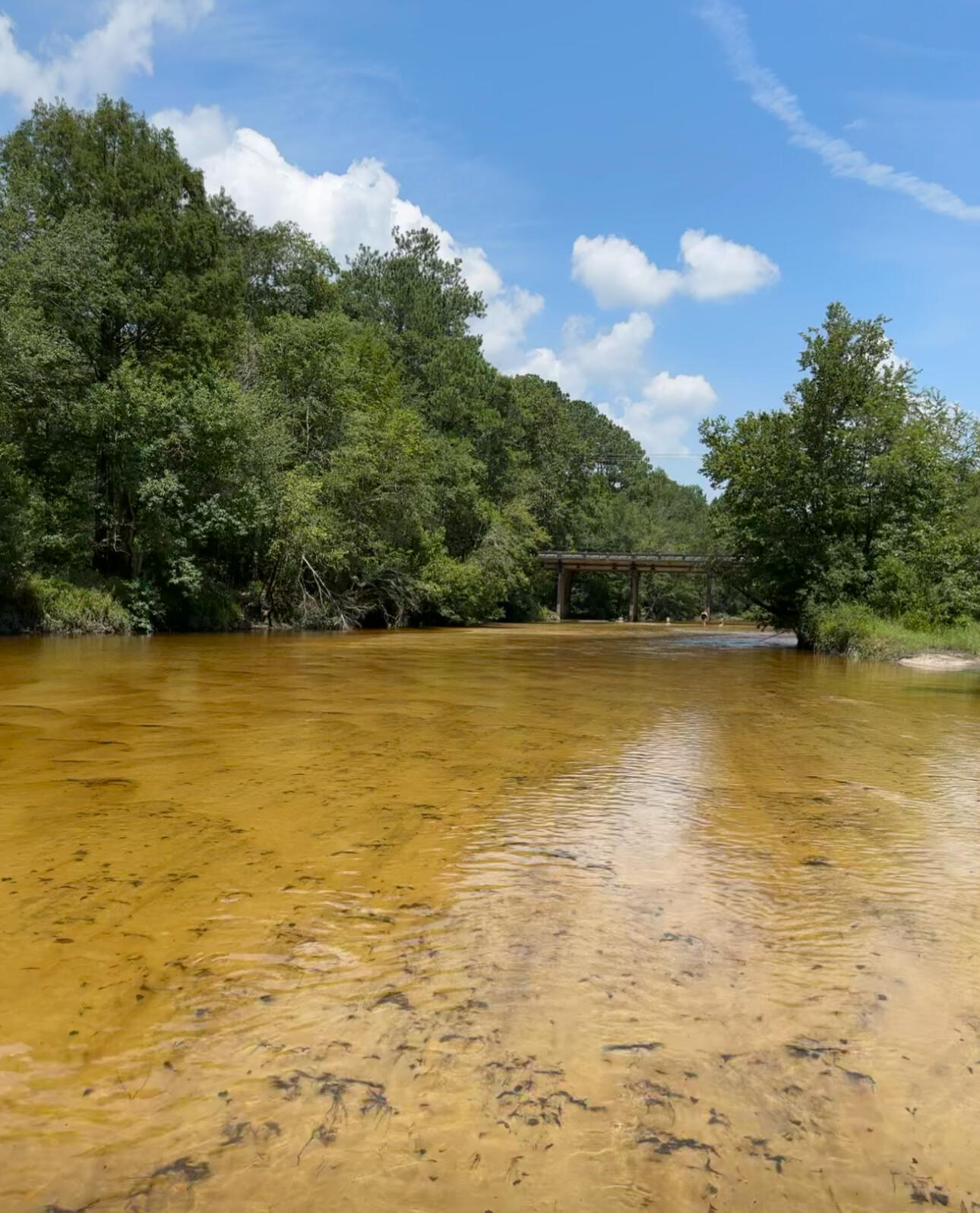 Lots 23&24 Plantation Lane Defuniak Springs FL 32433