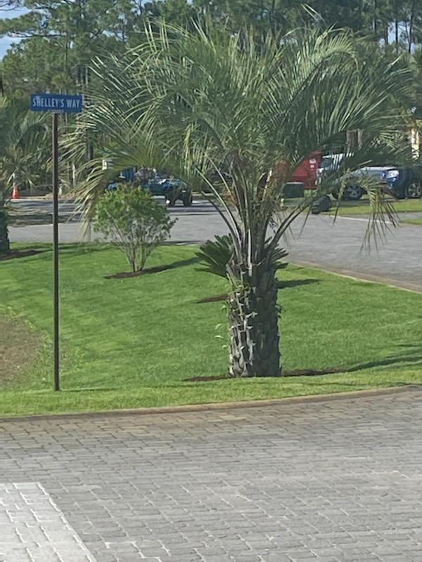 Lot 28 Shelley's Way Miramar Beach FL 32550