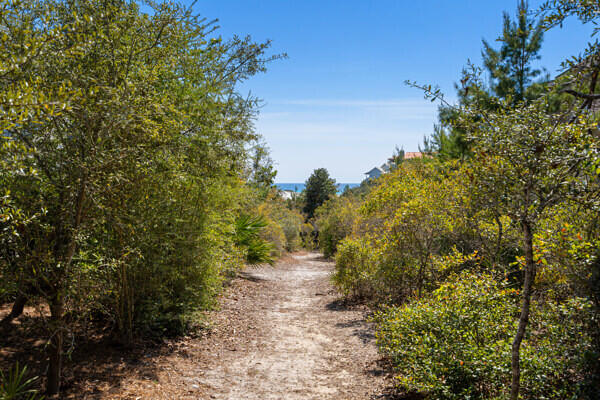Lot 3 Blk4 W Cedar Bend Road Santa Rosa Beach FL 32459