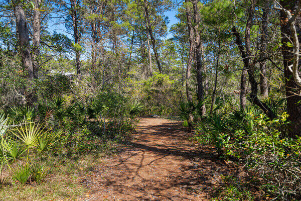 Lot 3 Blk4 W Cedar Bend Road Santa Rosa Beach FL 32459