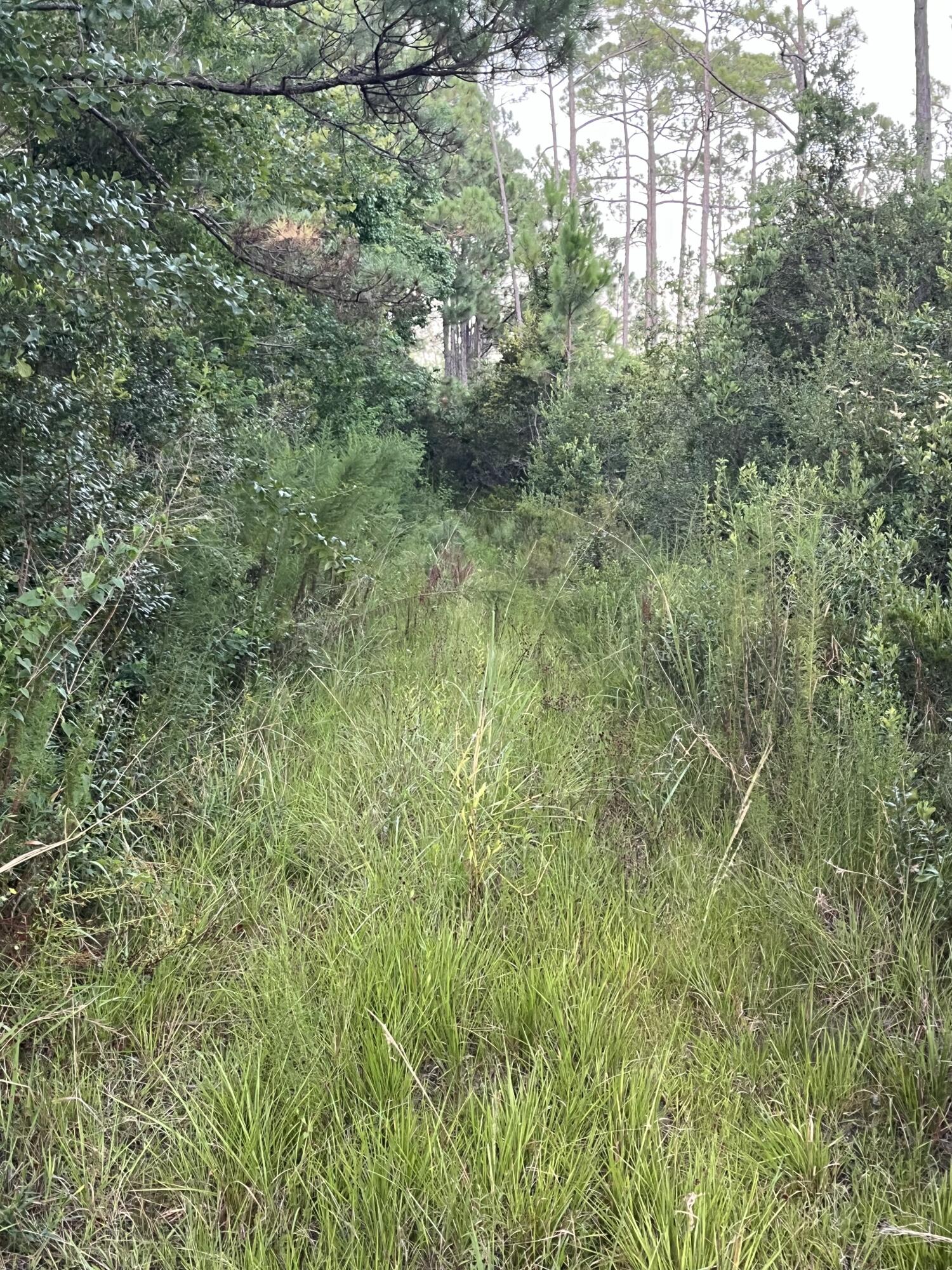 Lot 12/13 Calm Gulf Drive Santa Rosa Beach FL 32459