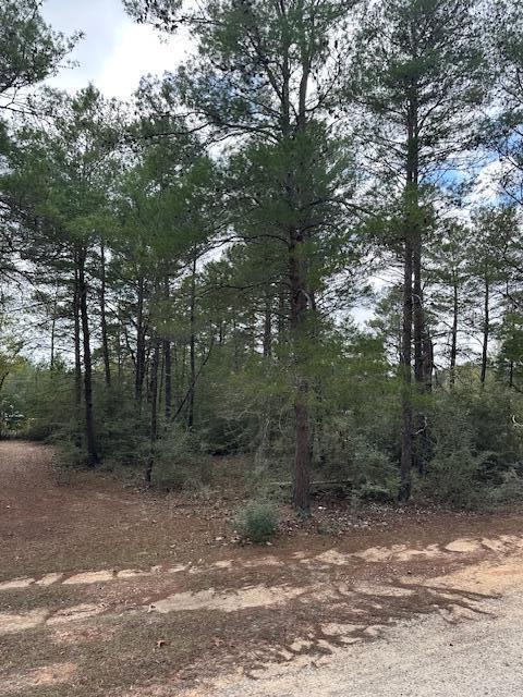DeFuniak Springs FL, Lot 9 E Fernwood Court