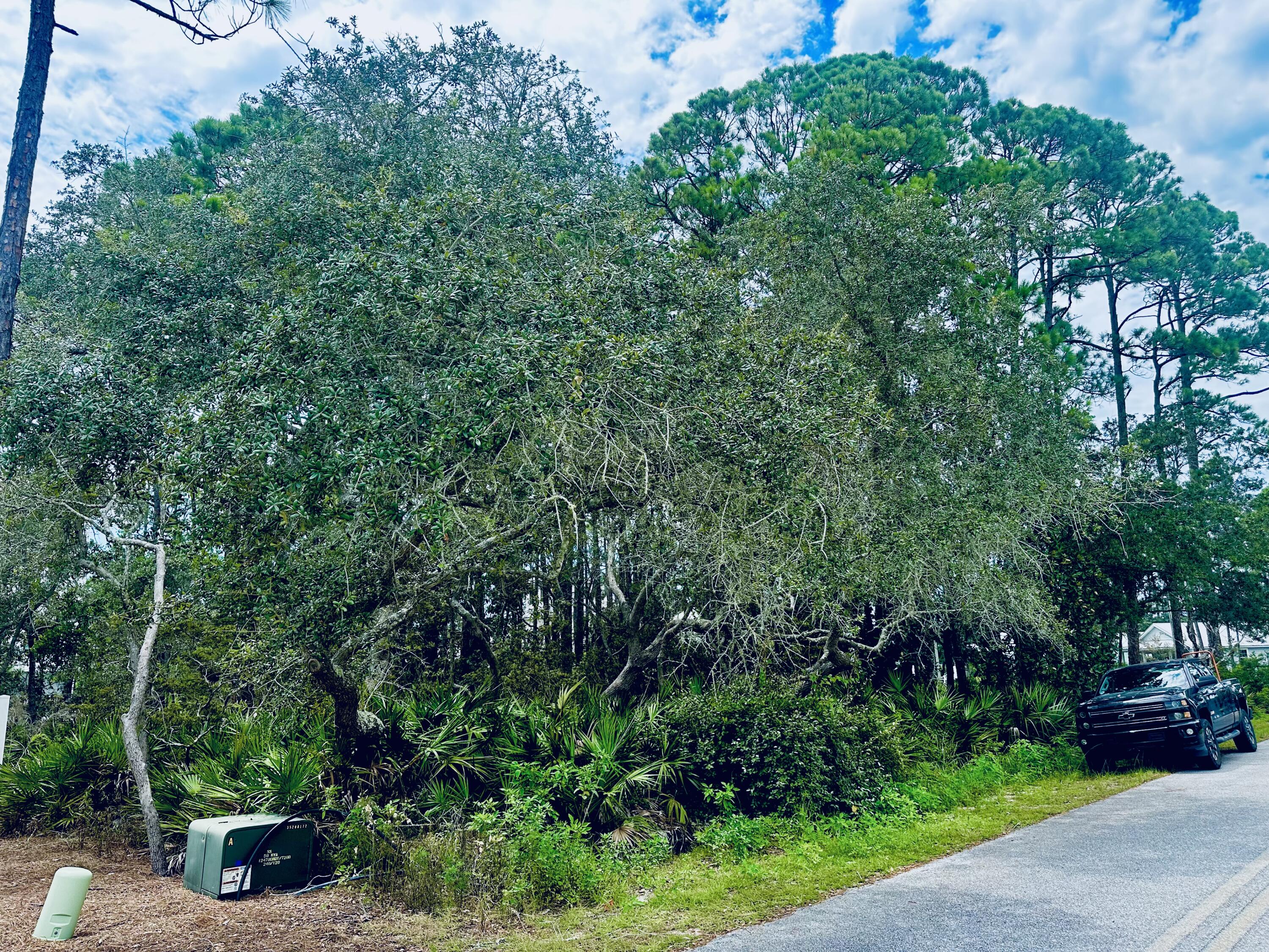 Lot 12&13 Sunrise Circle Santa Rosa Beach FL 32459