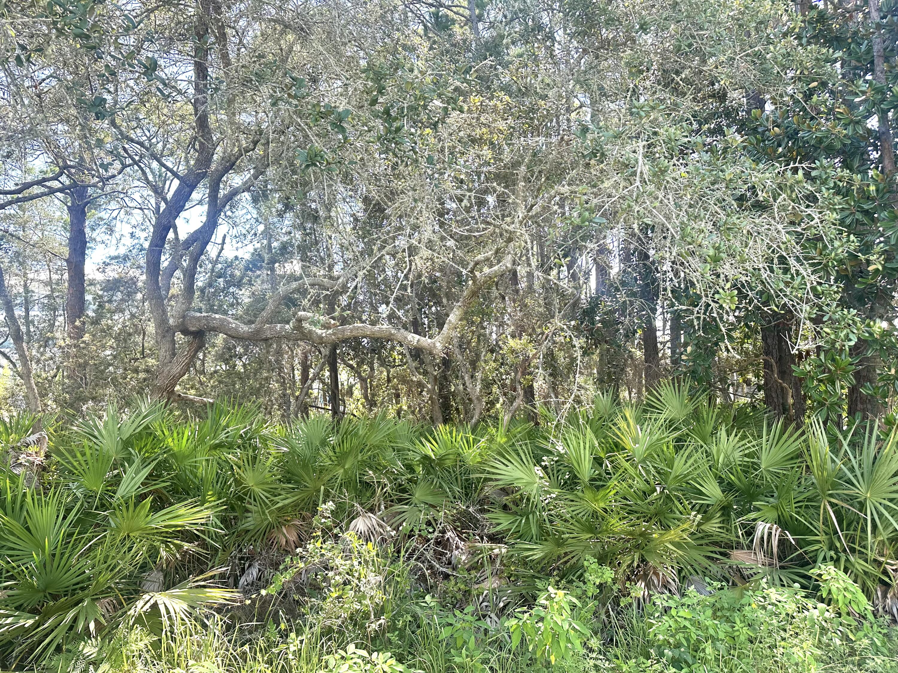 Lot 12&13 Sunrise Circle Santa Rosa Beach FL 32459