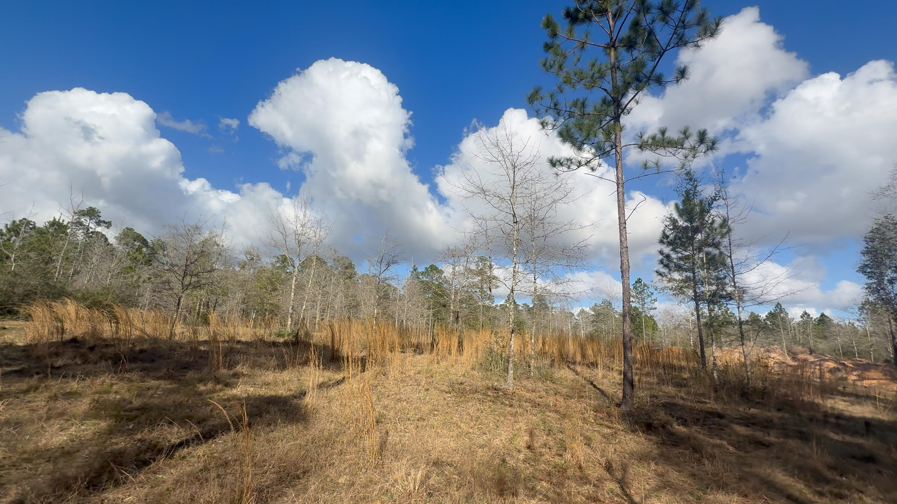 00 Native Creek Road Milton FL 32571
