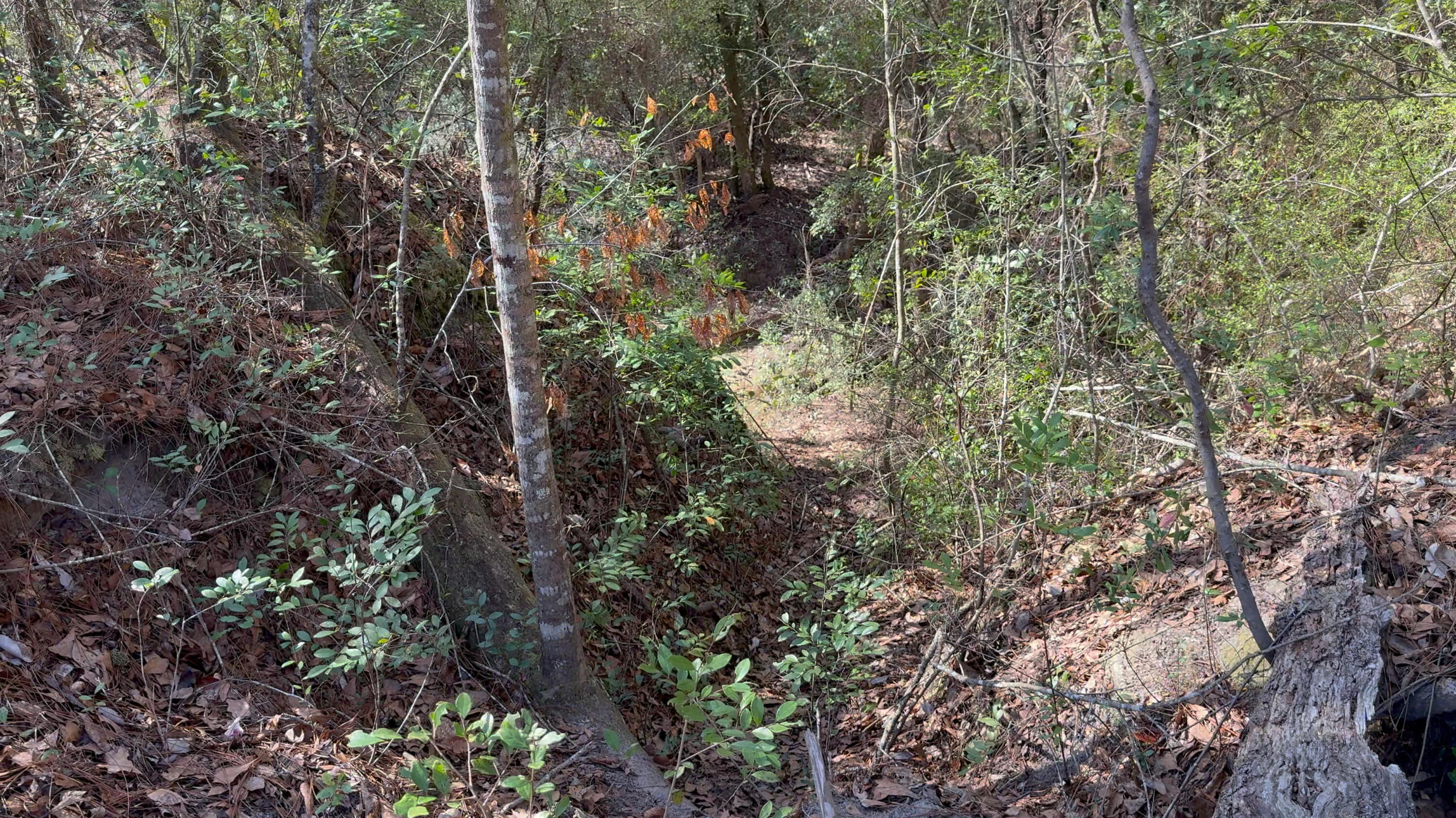 00 Native Creek Road Milton FL 32571