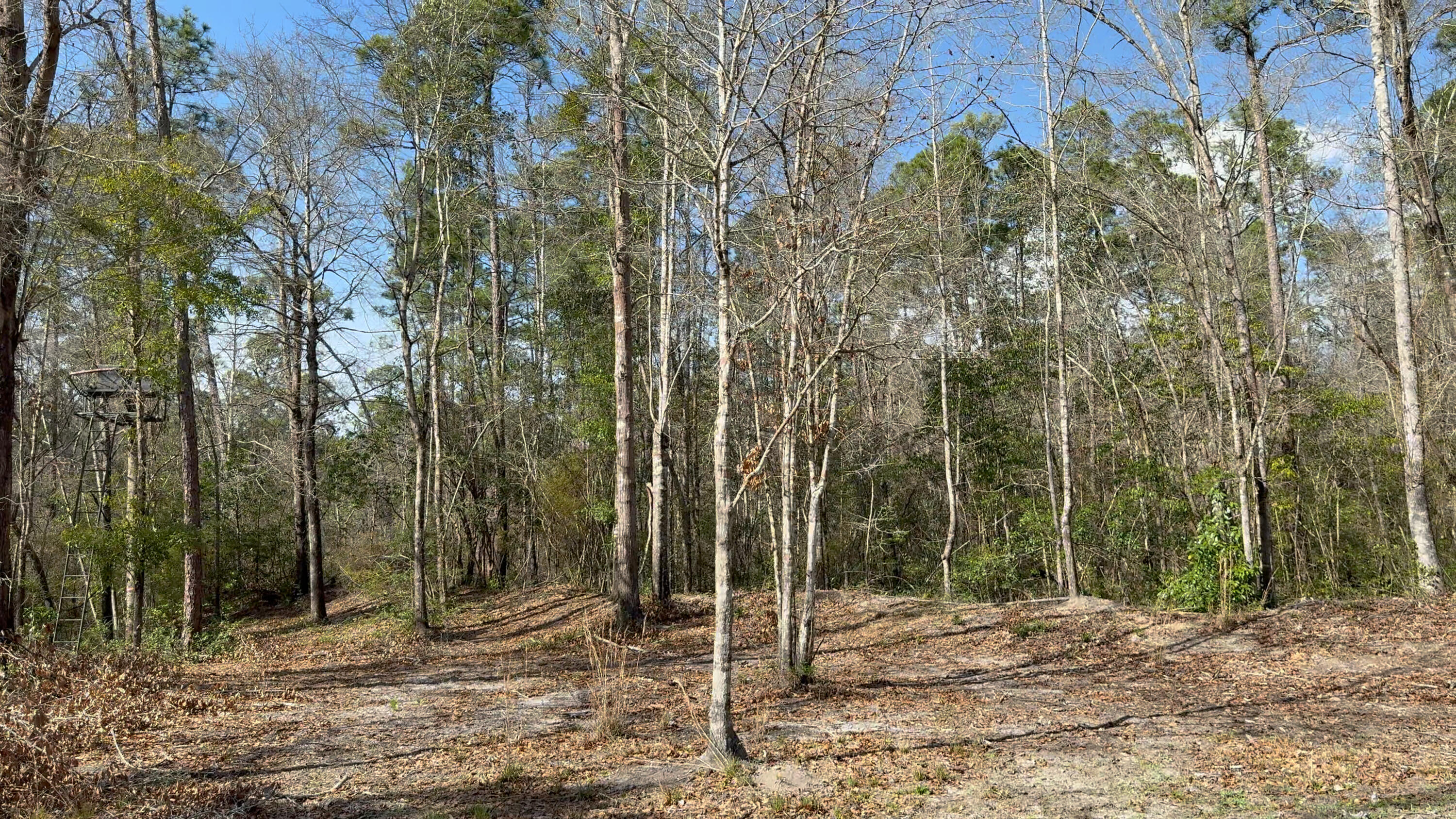 00 Native Creek Road Milton FL 32571