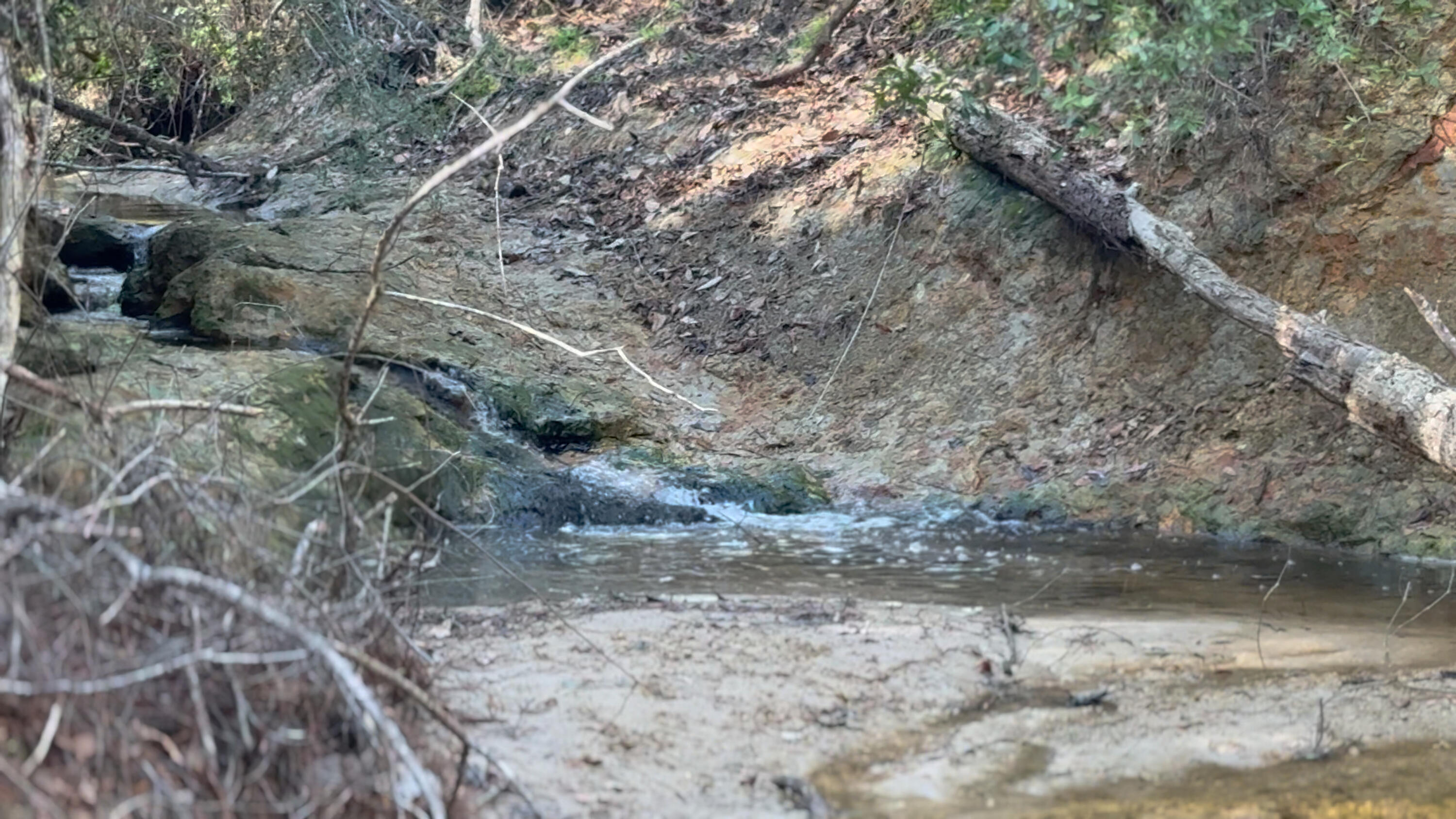 00 Native Creek Road Milton FL 32571