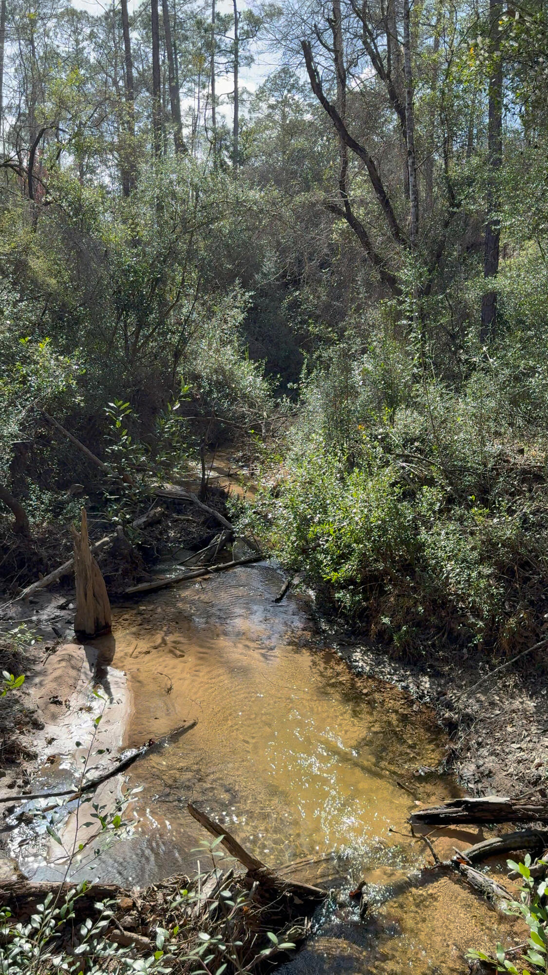 00 Native Creek Road Milton FL 32571