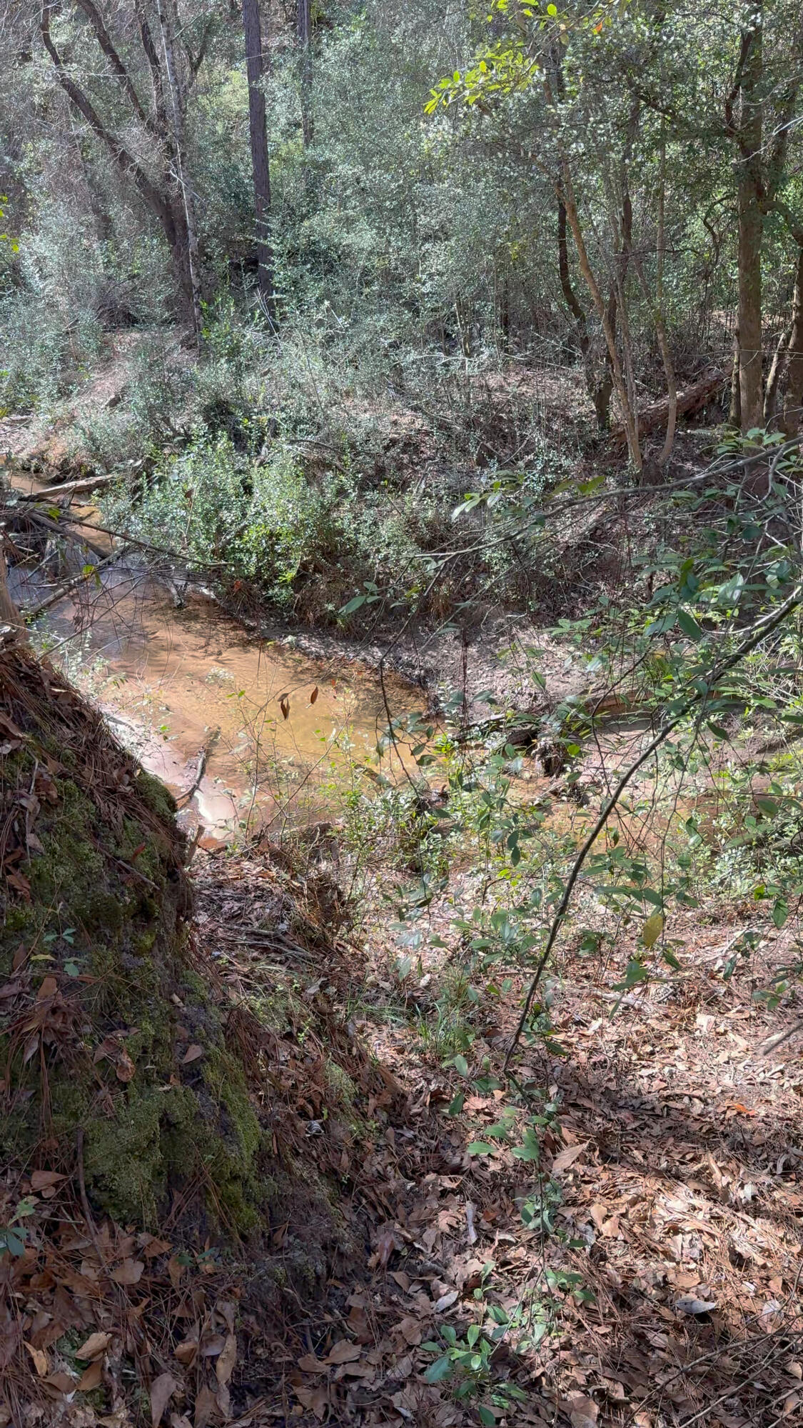 00 Native Creek Road Milton FL 32571