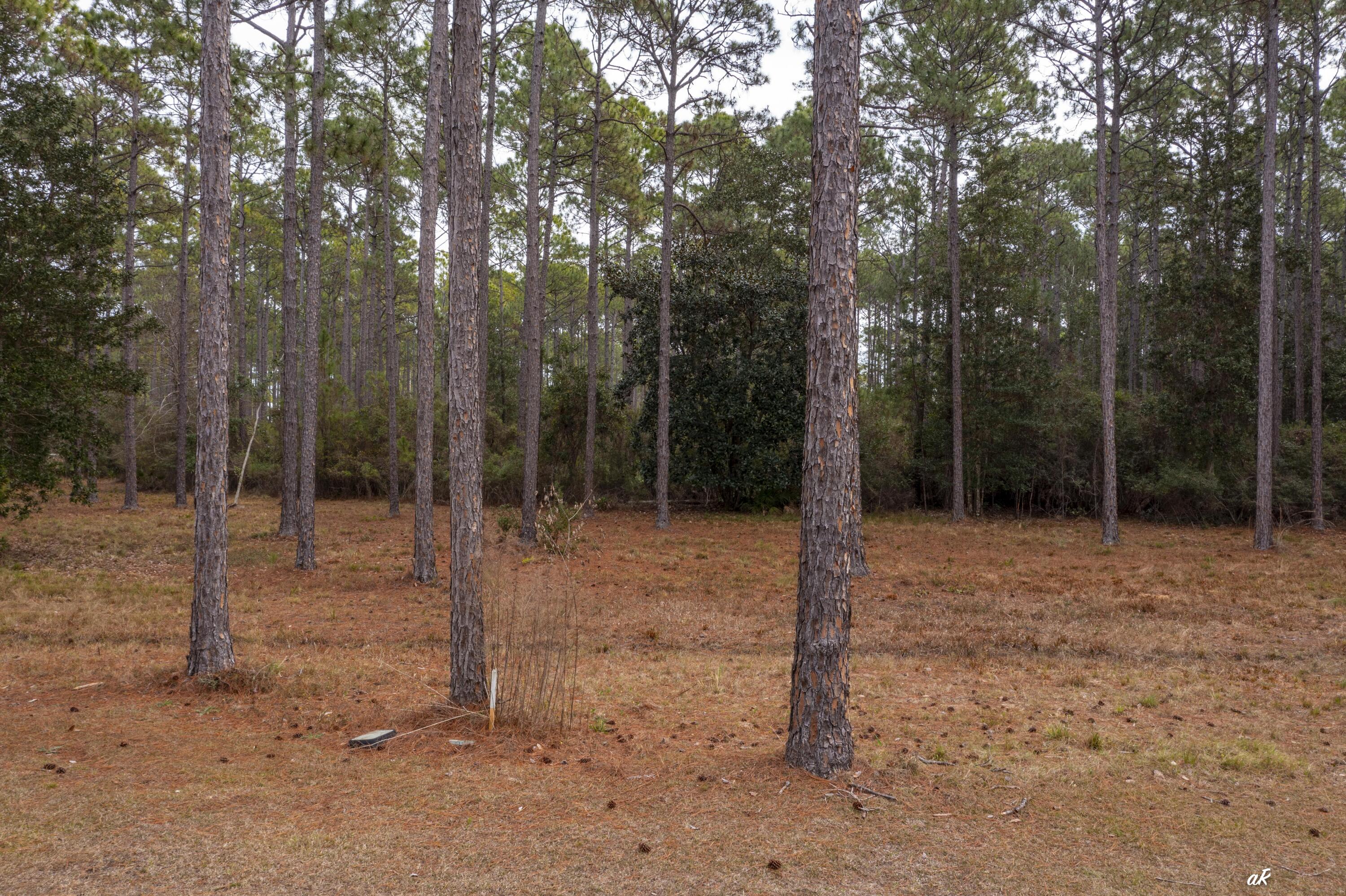 7534 Morning Marsh Trail Panama City Beach FL 32413