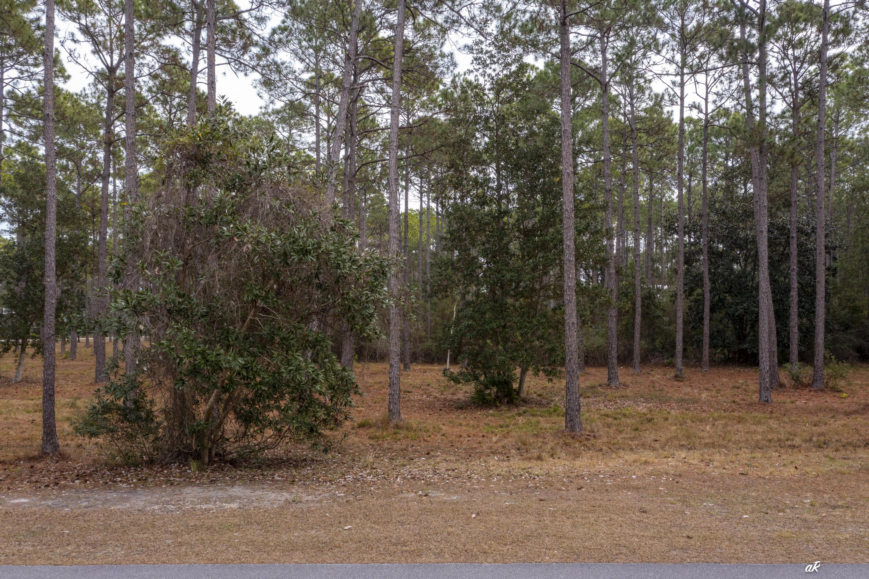 7534 Morning Marsh Trail Panama City Beach FL 32413