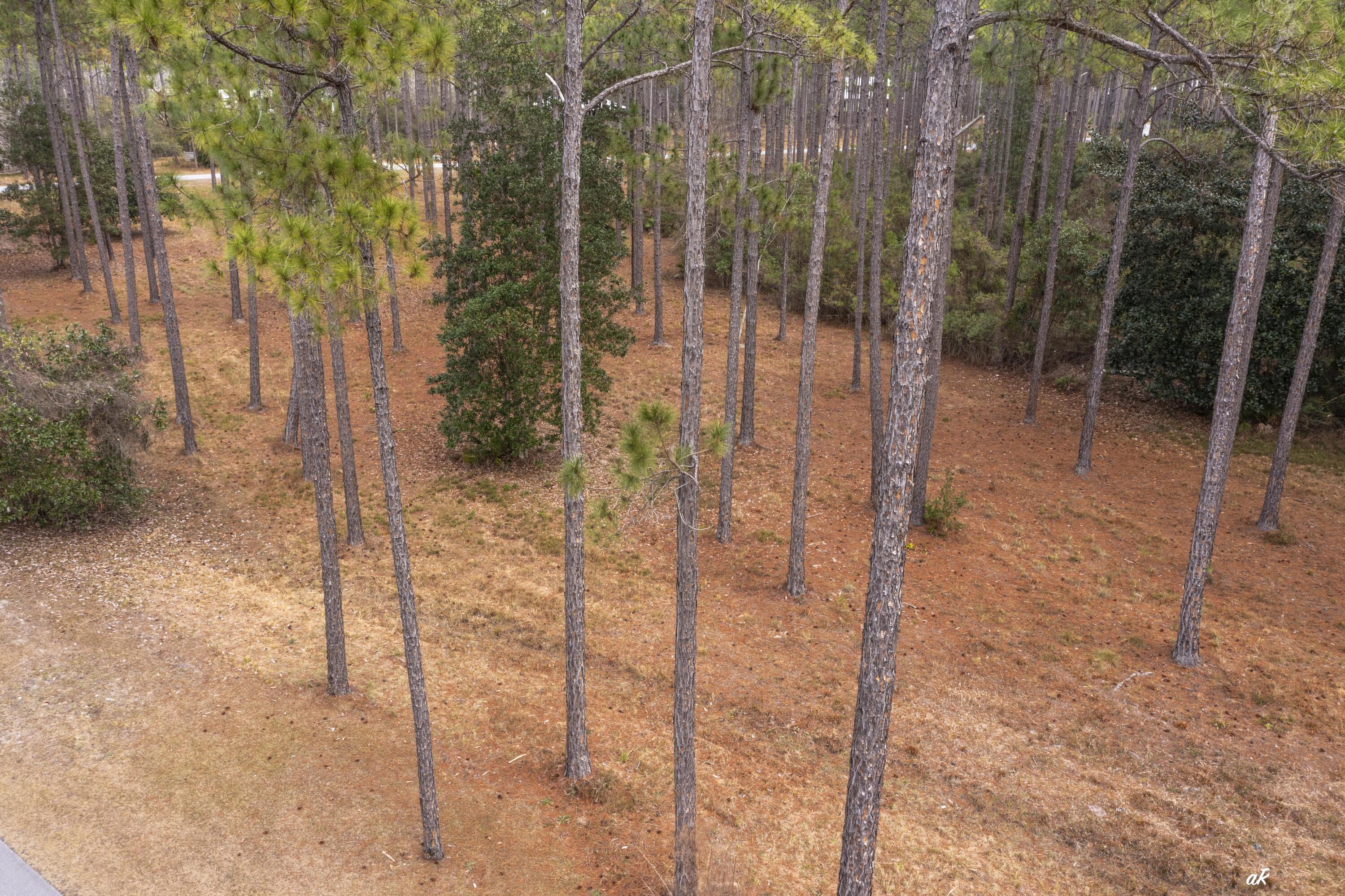 7534 Morning Marsh Trail Panama City Beach FL 32413