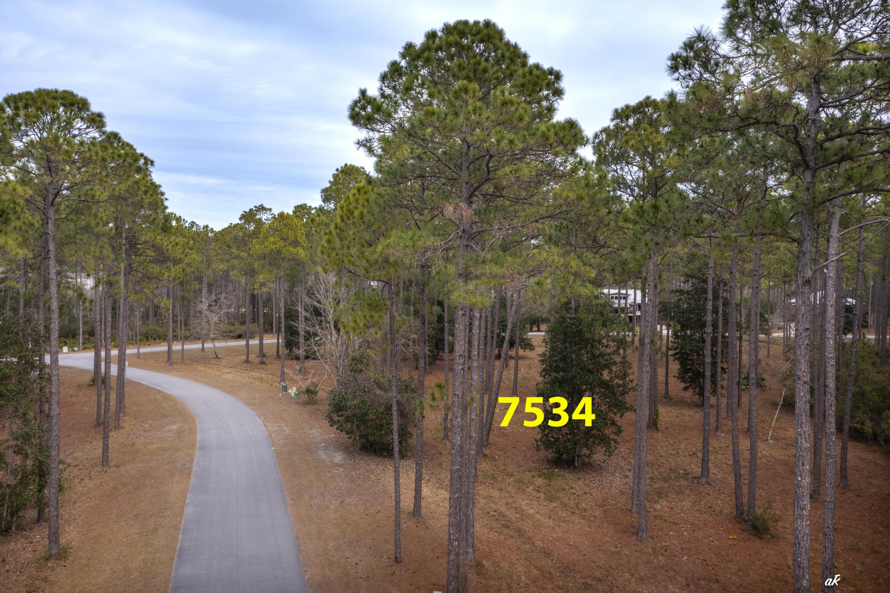 7534 Morning Marsh Trail Panama City Beach FL 32413