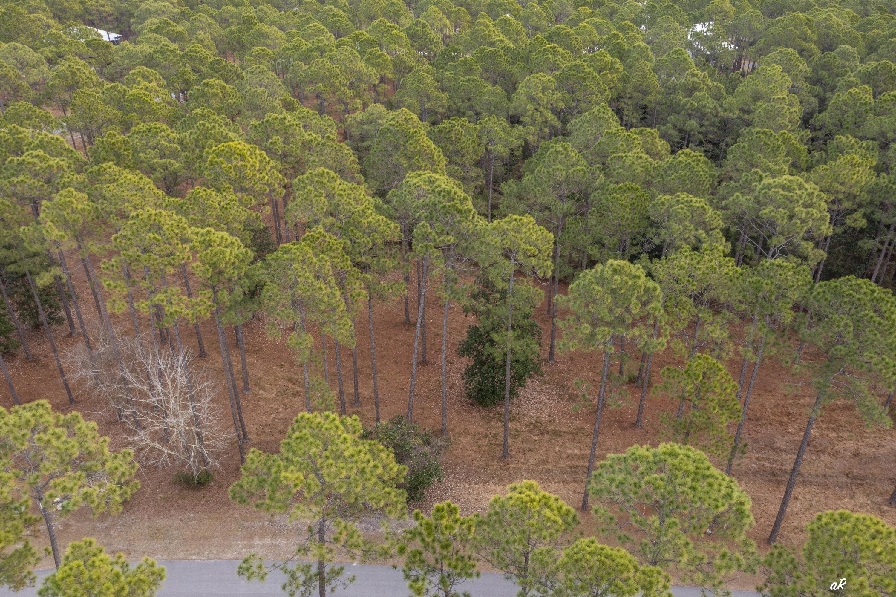 7534 Morning Marsh Trail Panama City Beach FL 32413