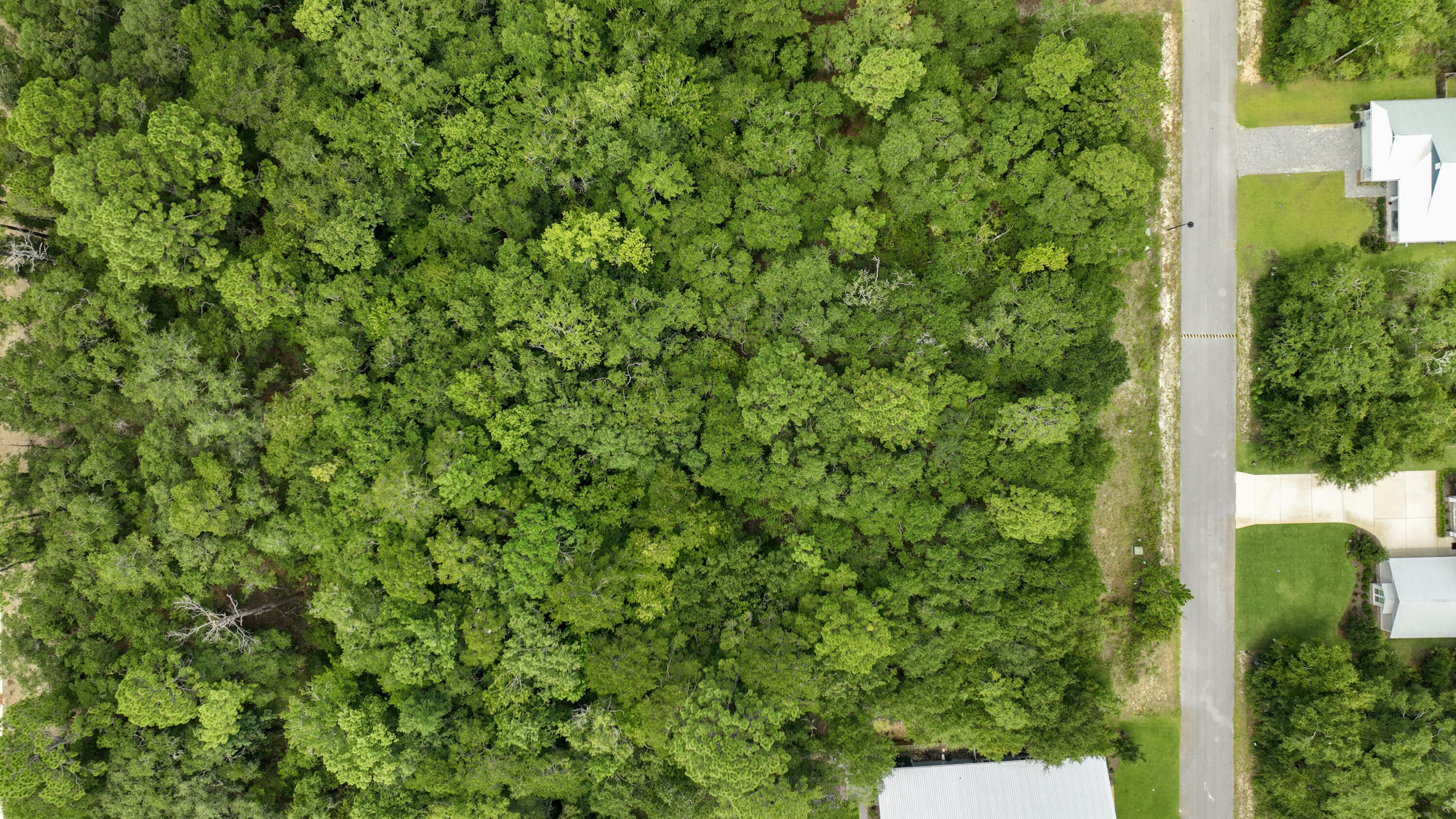 Lot 23 Hibernate Way Freeport FL 32439
