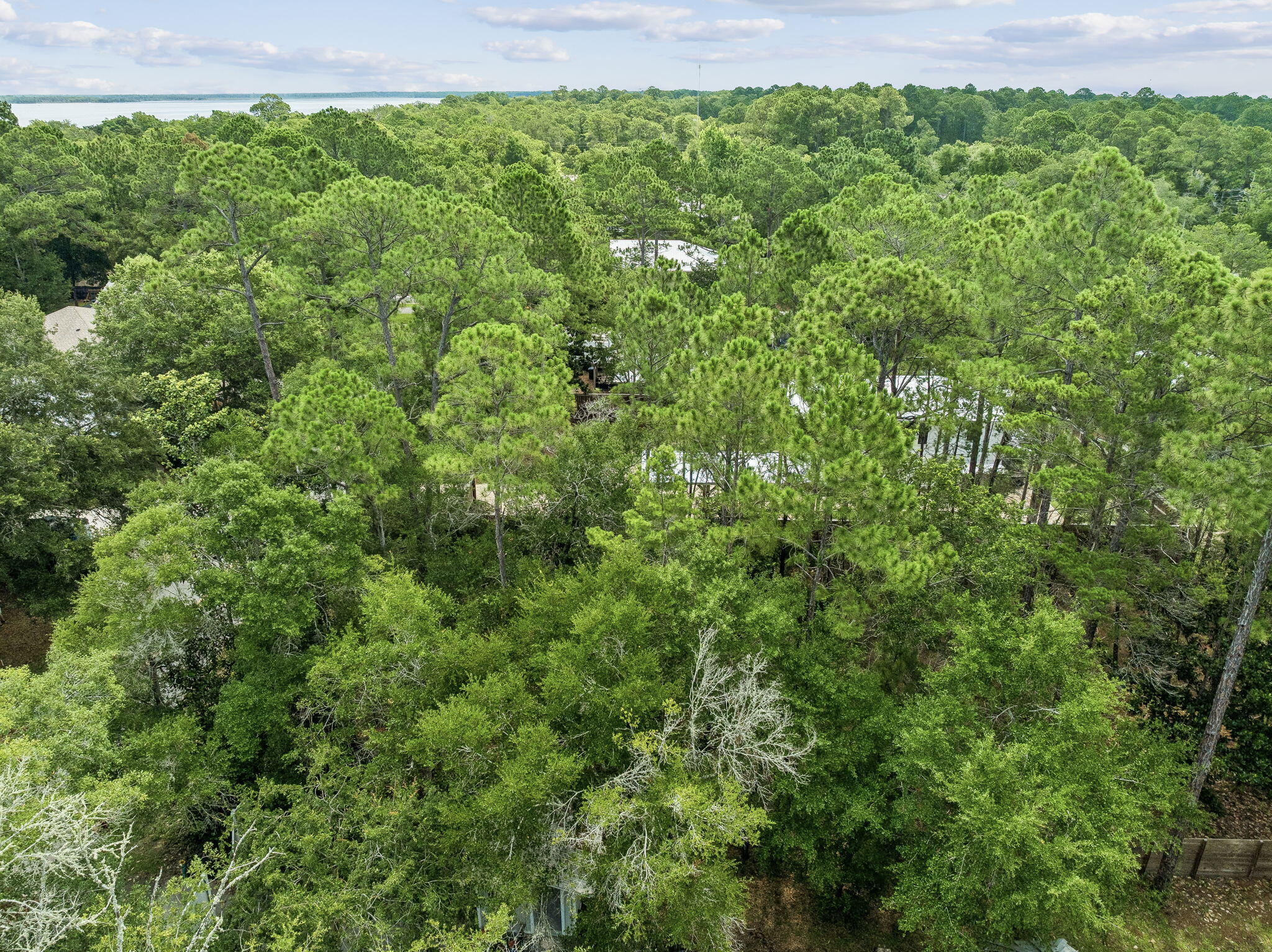 Lot 9 Chrysler Avenue Point Washington FL 32459