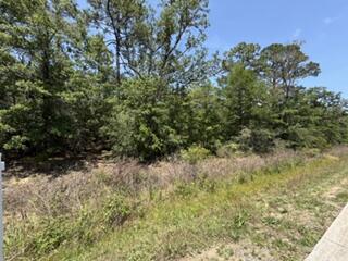 0 N Highway 87 Navarre FL 32566