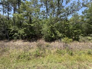 0 N Highway 87 Navarre FL 32566