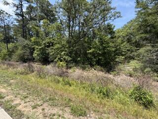 0 N Highway 87 Navarre FL 32566