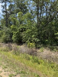 0 N Highway 87 Navarre FL 32566