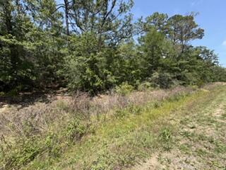 0 N Highway 87 Navarre FL 32566